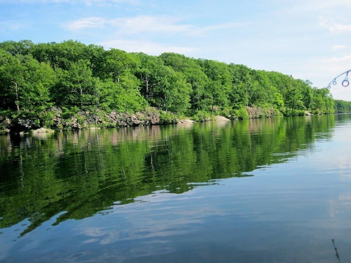 Harriman State Park is 15 minute drive from Yellowstone Cabin.