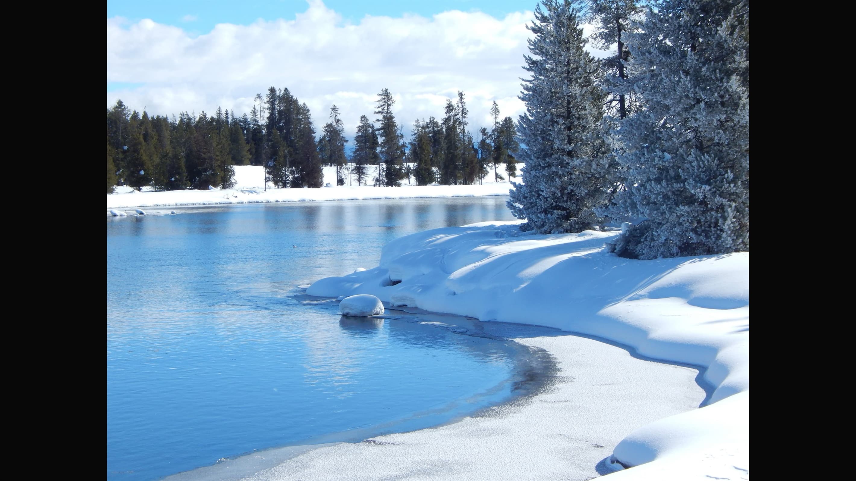 Harriman State Park in winter.