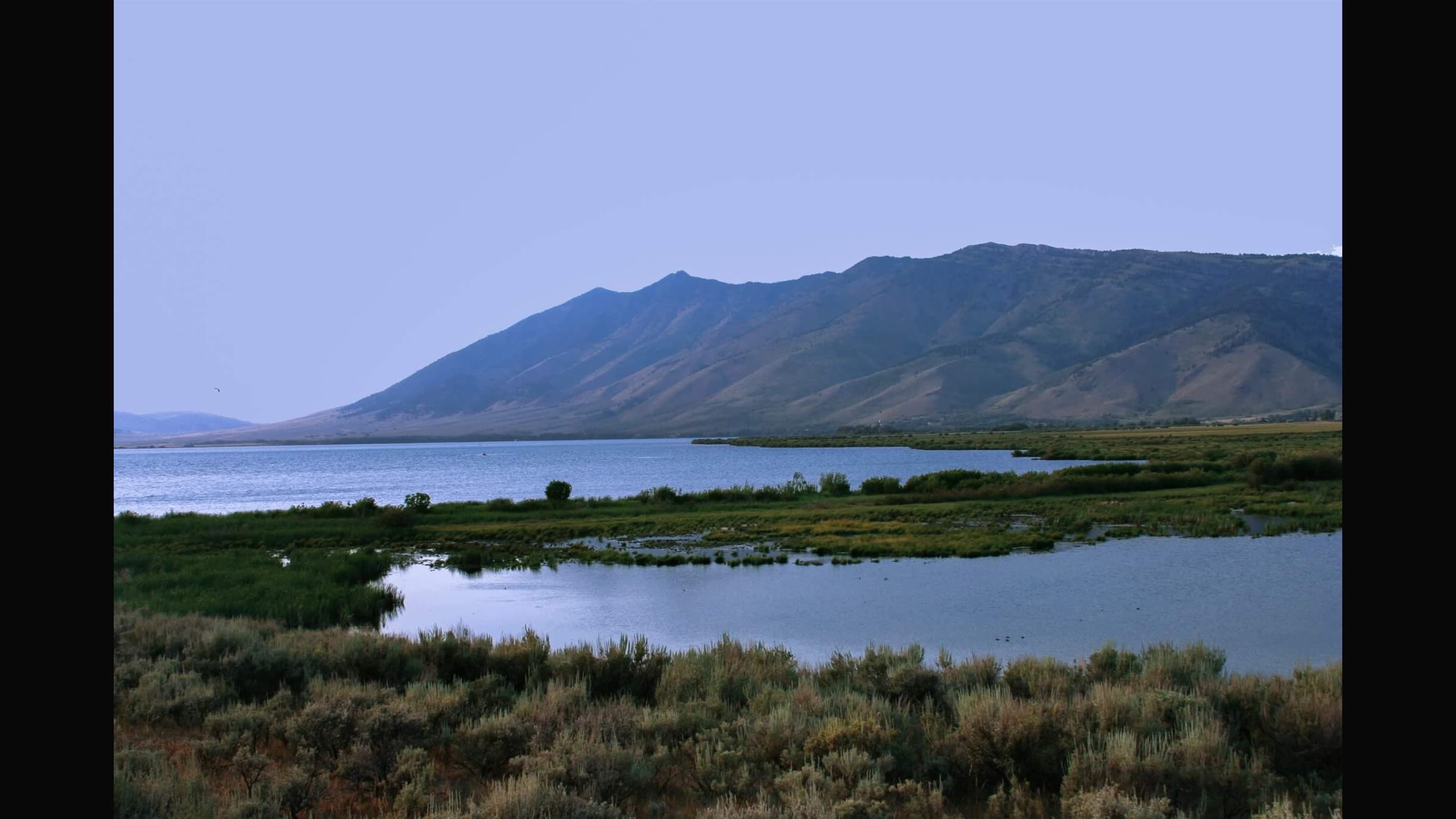 Henry's Lake
