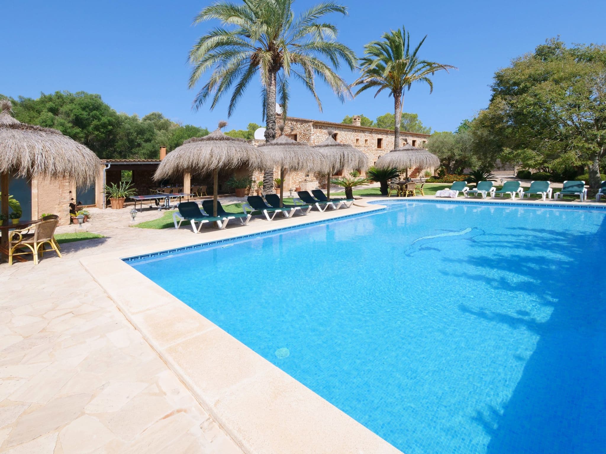 Pool Outdoor