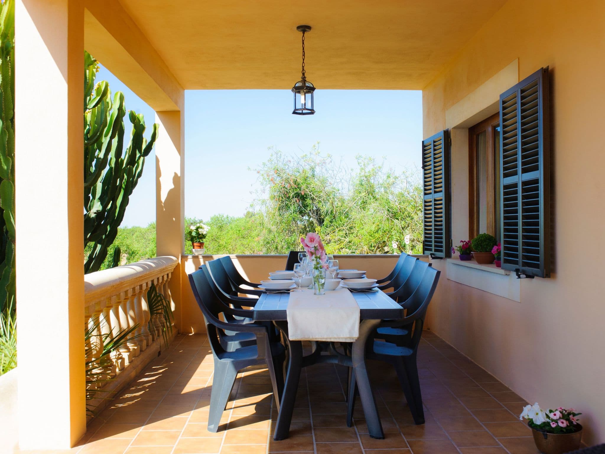 Terrace