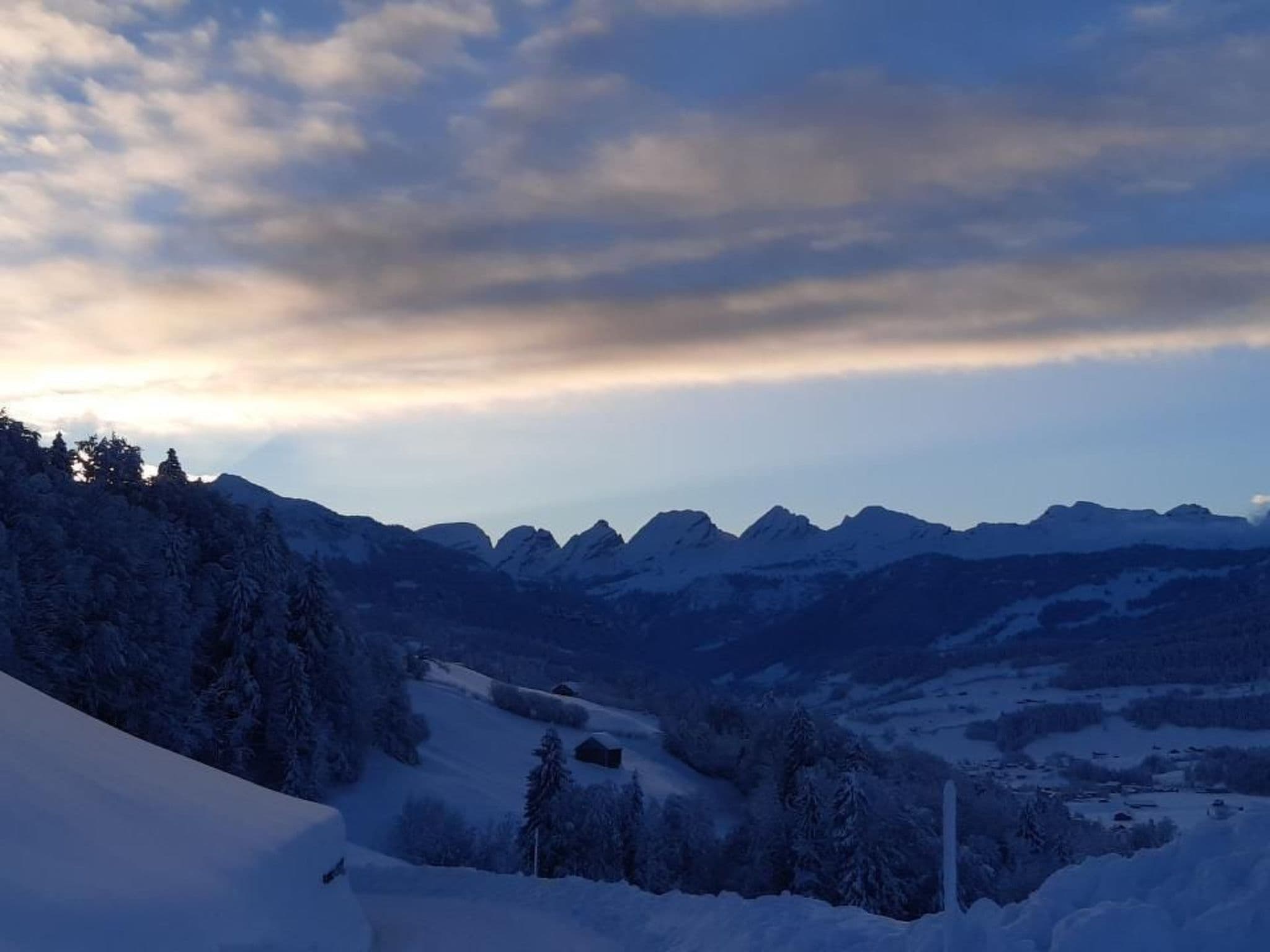 View