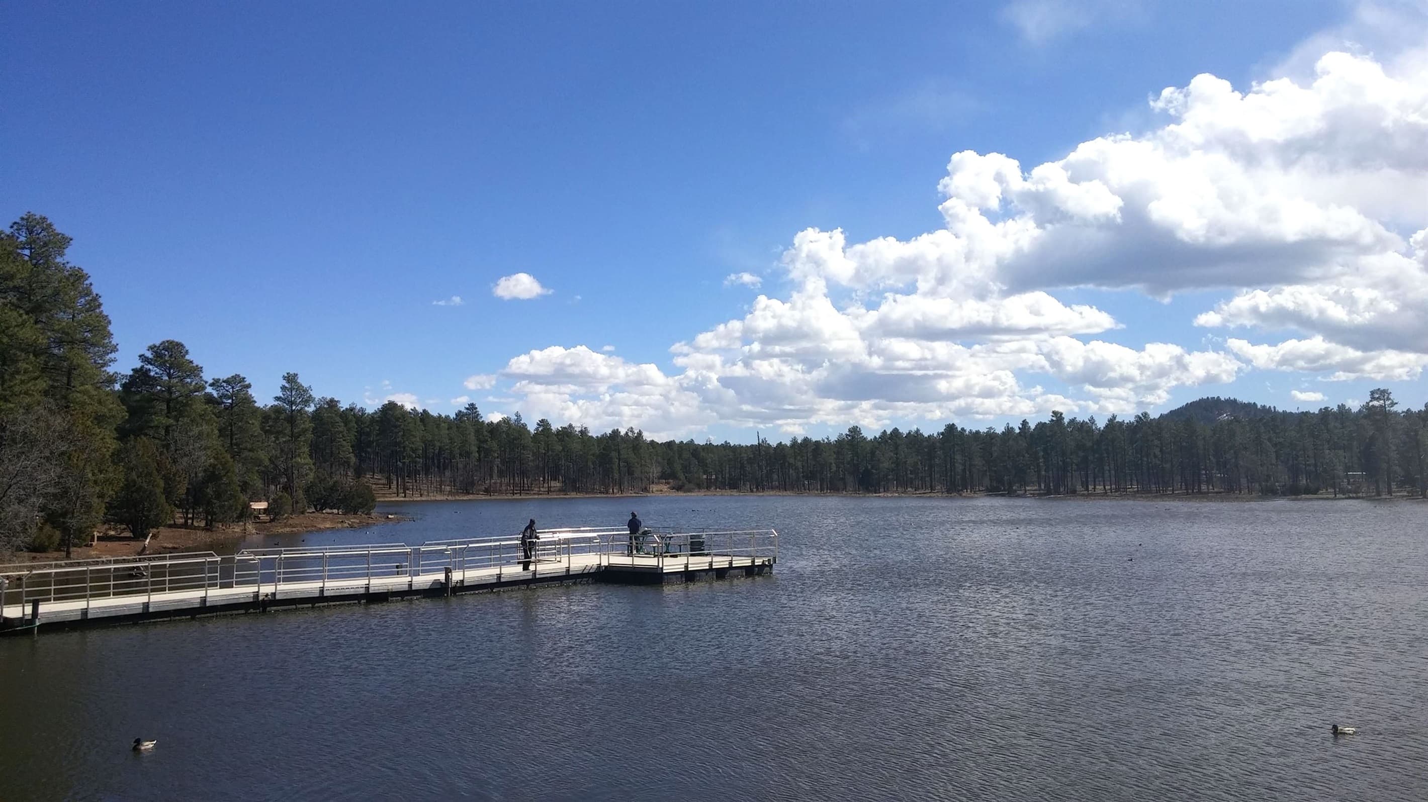 Just a two-minute stroll from home, Woodland Lake Park offers peaceful trails, sparkling waters, and the perfect escape into nature’s embrace.