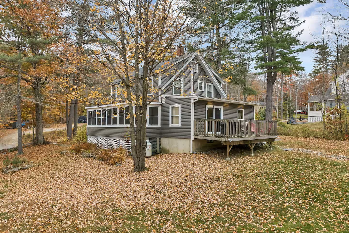 Backyard lawn