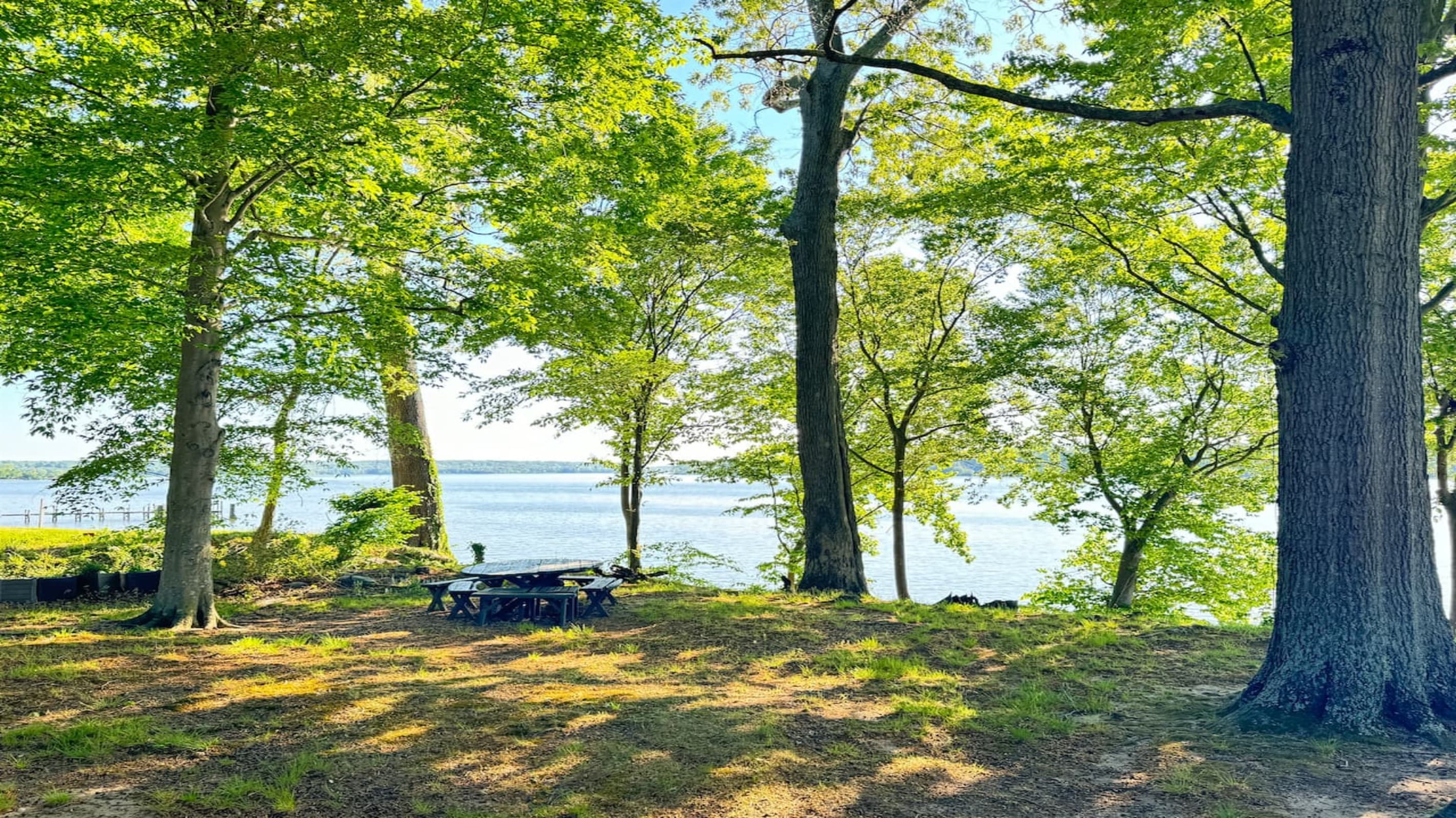 River View — Potomac Through Mature Trees, Serene Water Setting