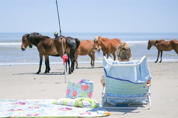 Hemingway Guest Room — Quiet Retreat with Premium Bedding | Event Accommodations | Corolla 4x4, OBX