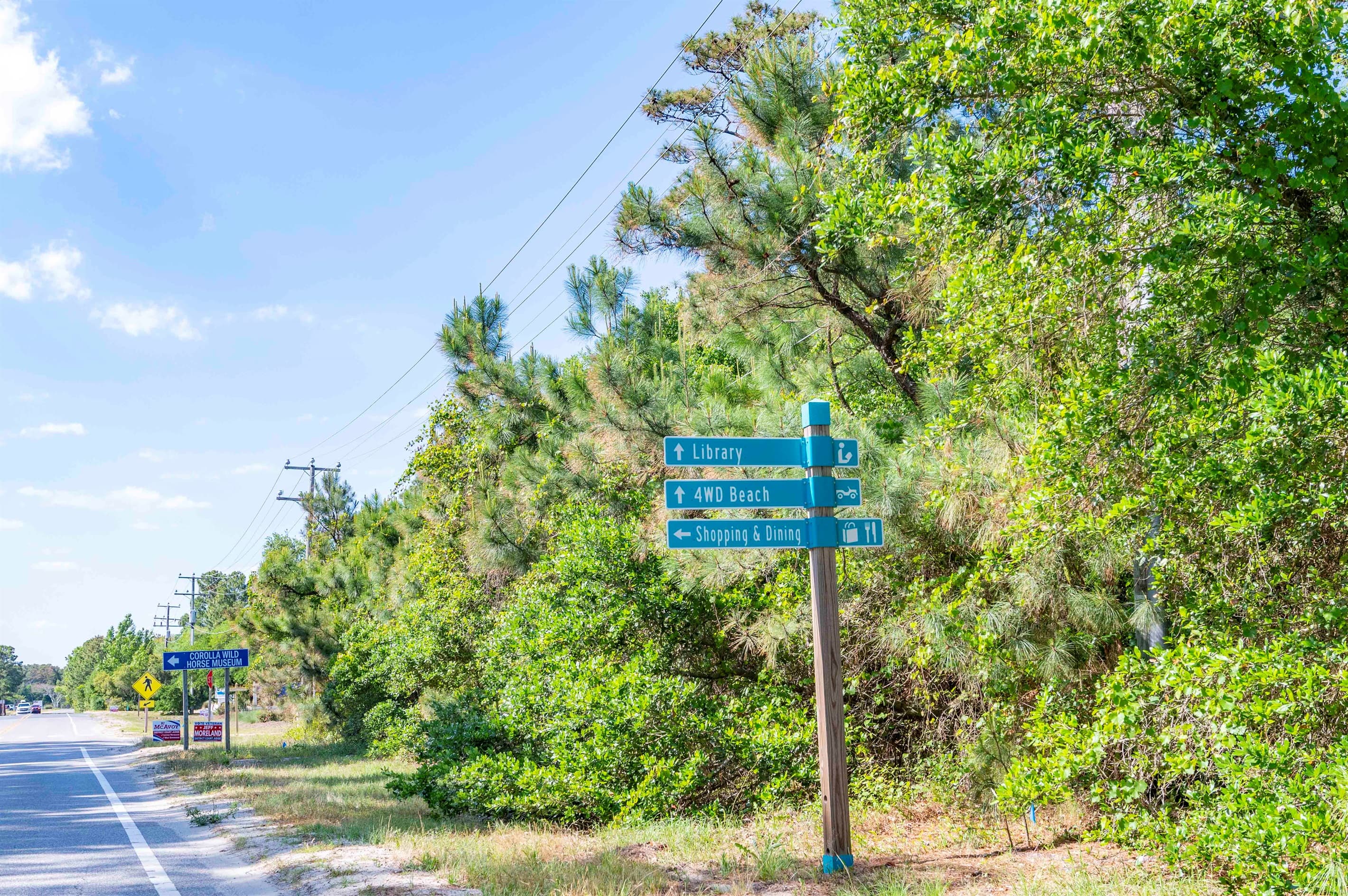Scenic roadway through maritime forest — peaceful drives connect the estate to lighthouse, shops, and attractions