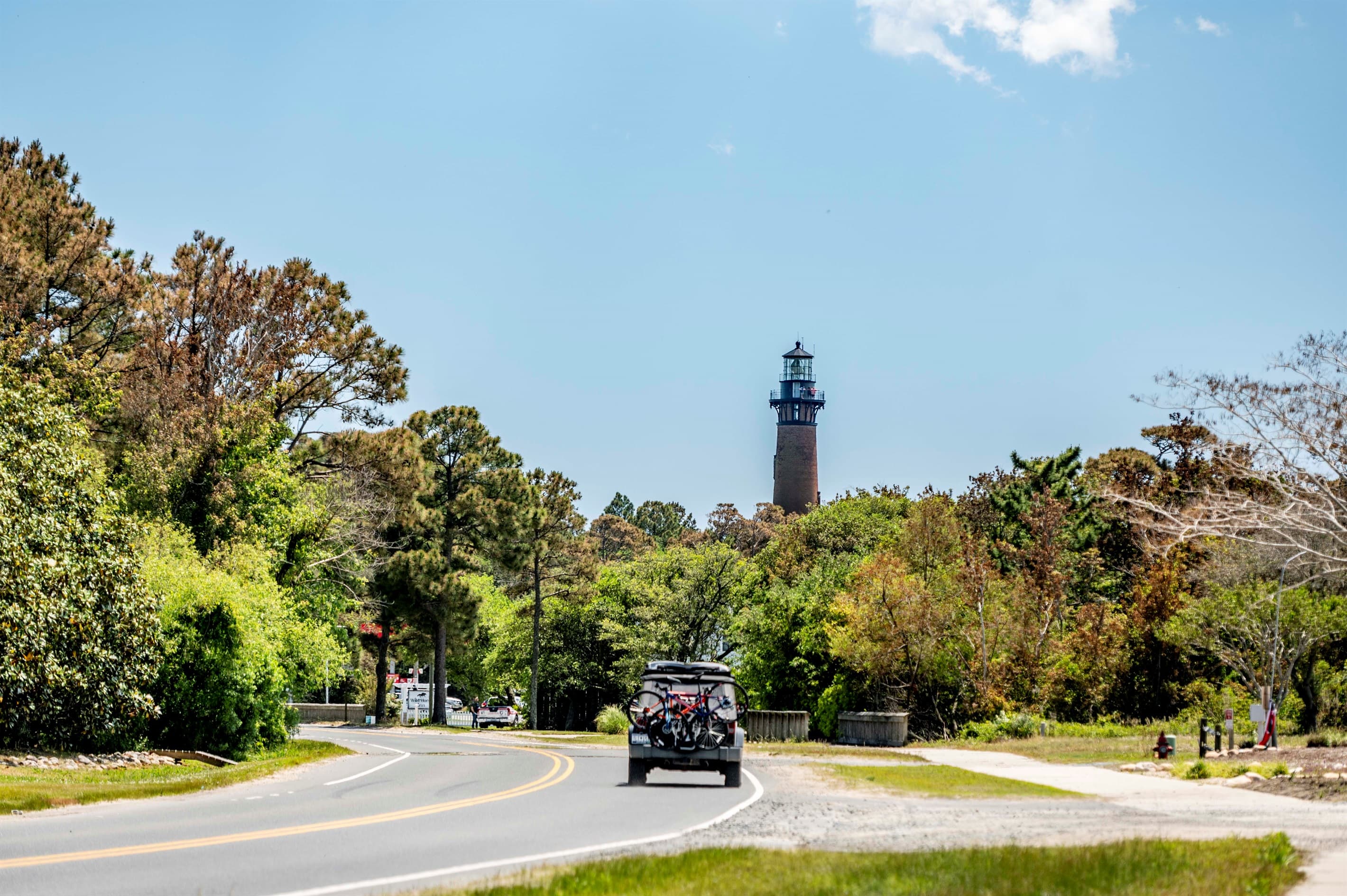 Maritime forest canopy and lighthouse — natural beauty surrounding the estate creates a serene retreat setting