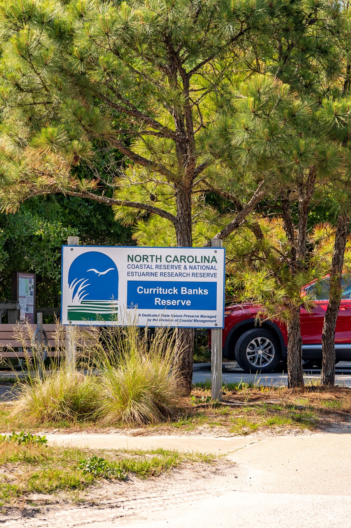 Currituck Banks Reserve — protected natural area for hiking, birding, and peaceful nature immersion