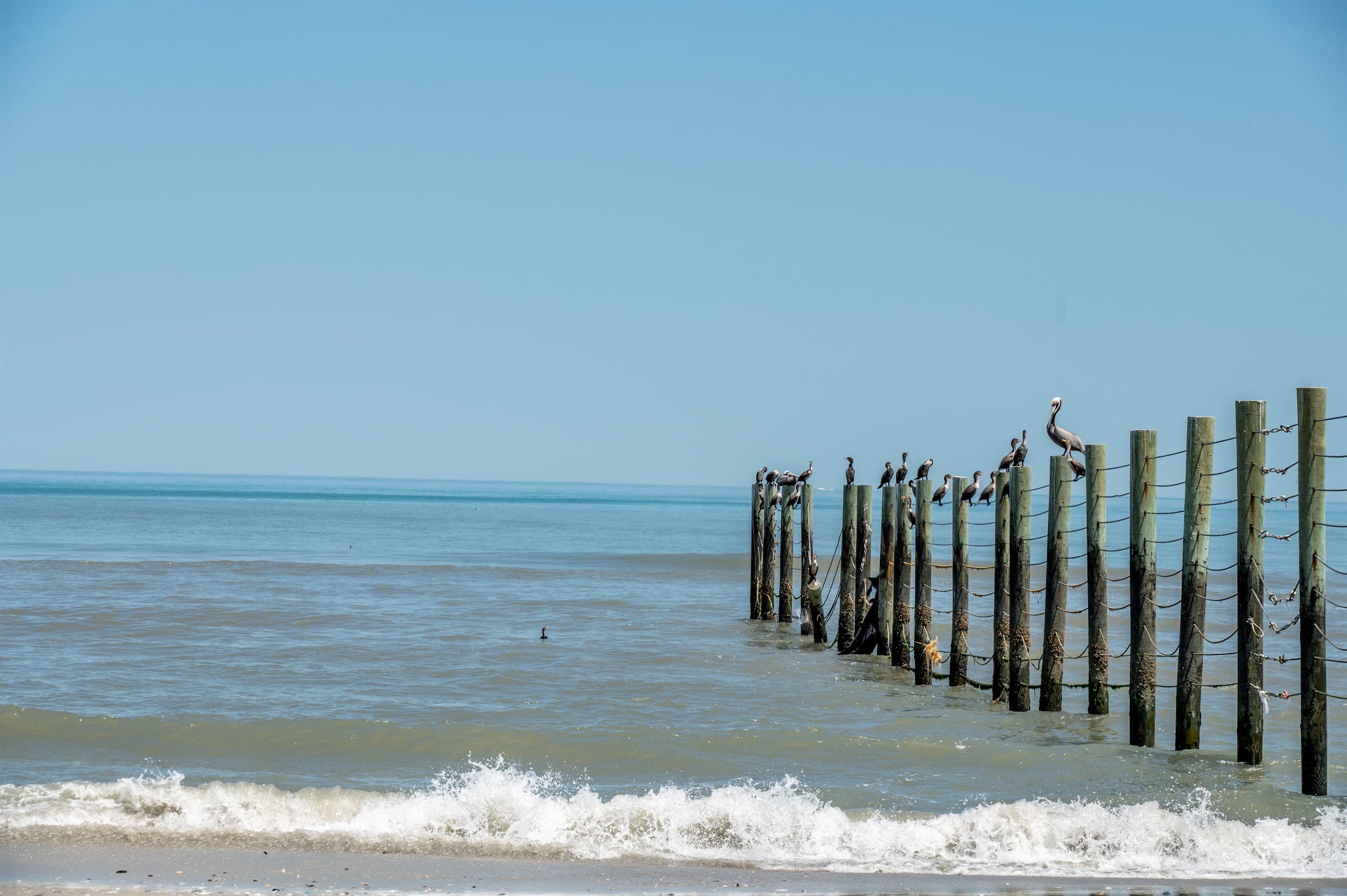 Atlantic waves along the Outer Banks — the ever-changing ocean provides a mesmerizing backdrop to your stay