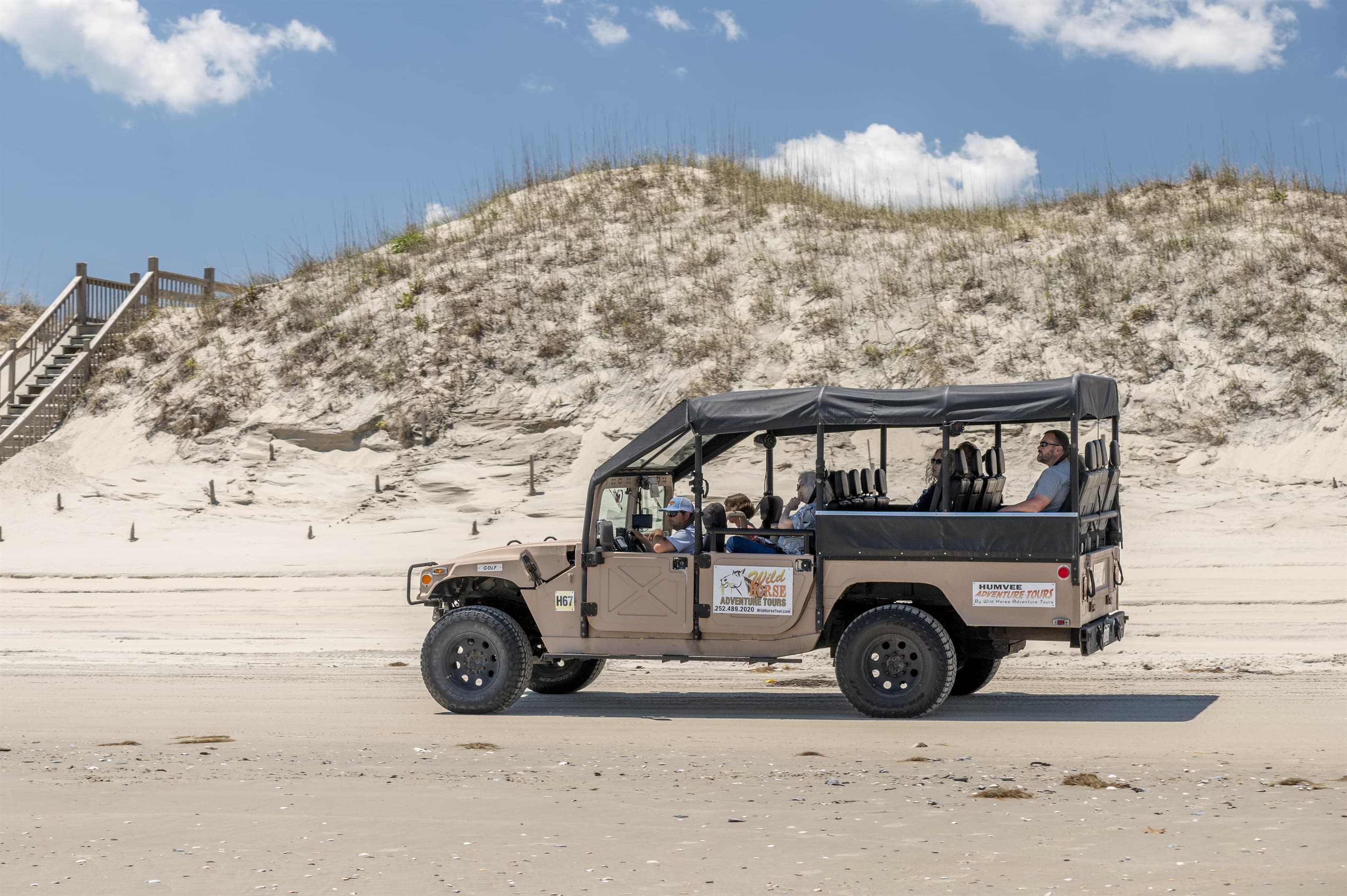 Wild Horse Tours in Corolla's 4x4 Beach — Explore the Outer Banks' Most Iconic Wildlife | Activities Near The Hemingway Estate