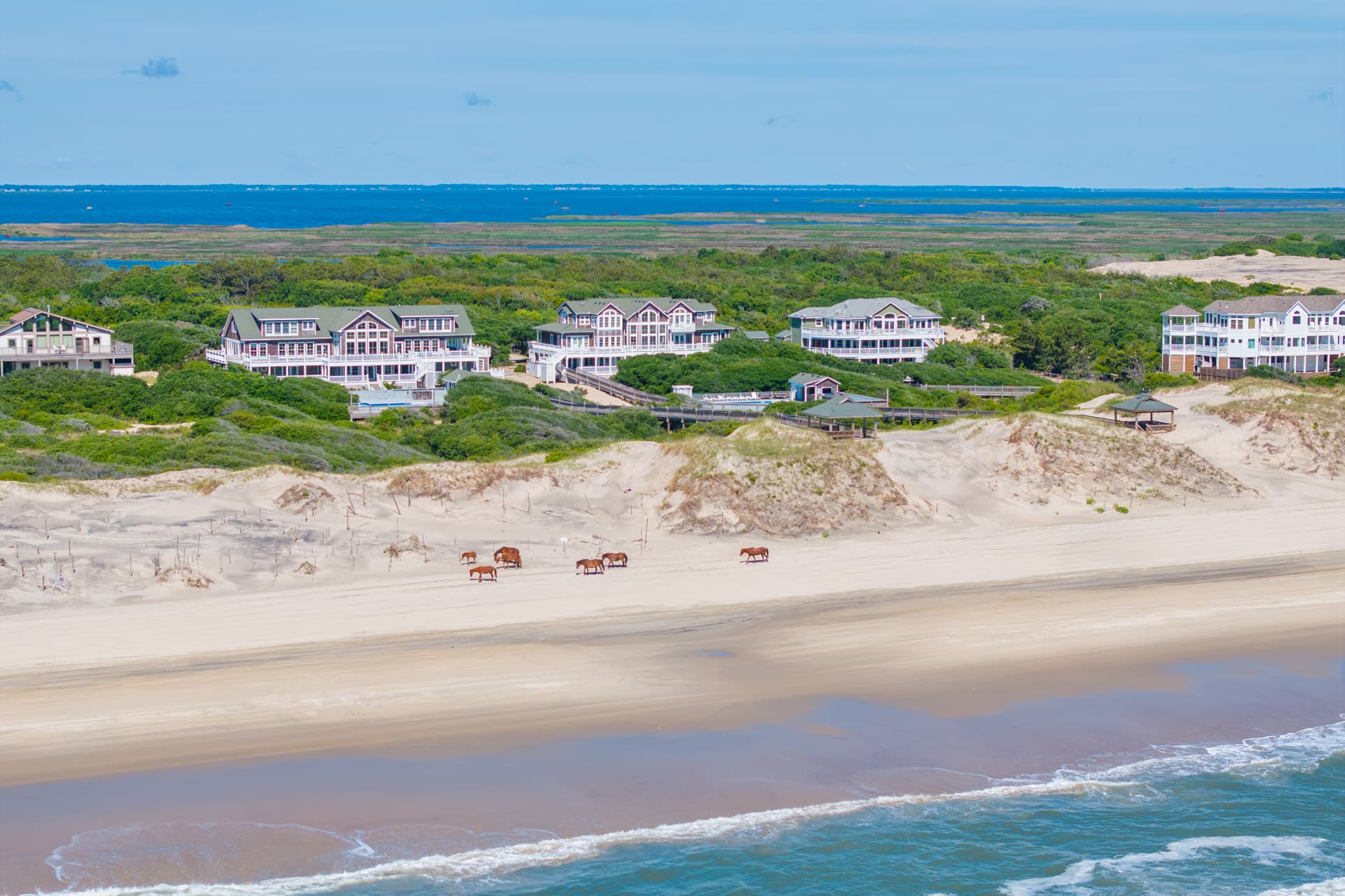 Private Estate — Three Authors from the Beach, Grand Scale & Coastal Beauty | Corolla, OBX