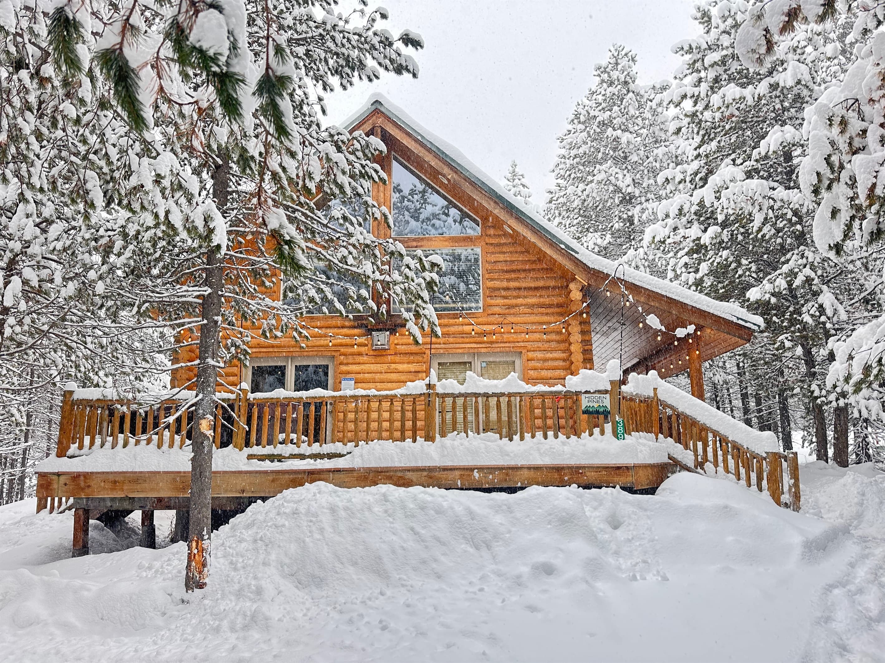 Come play in the snow 2/2026
