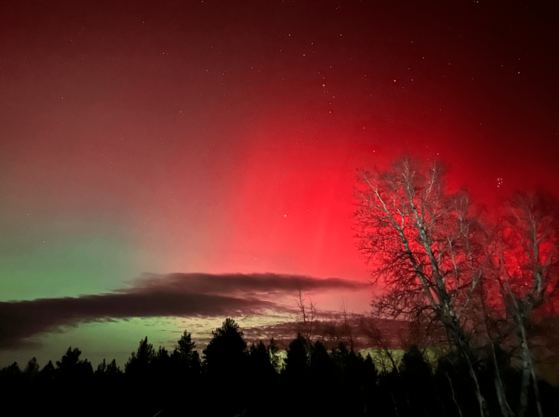Northern Lights 1/2026