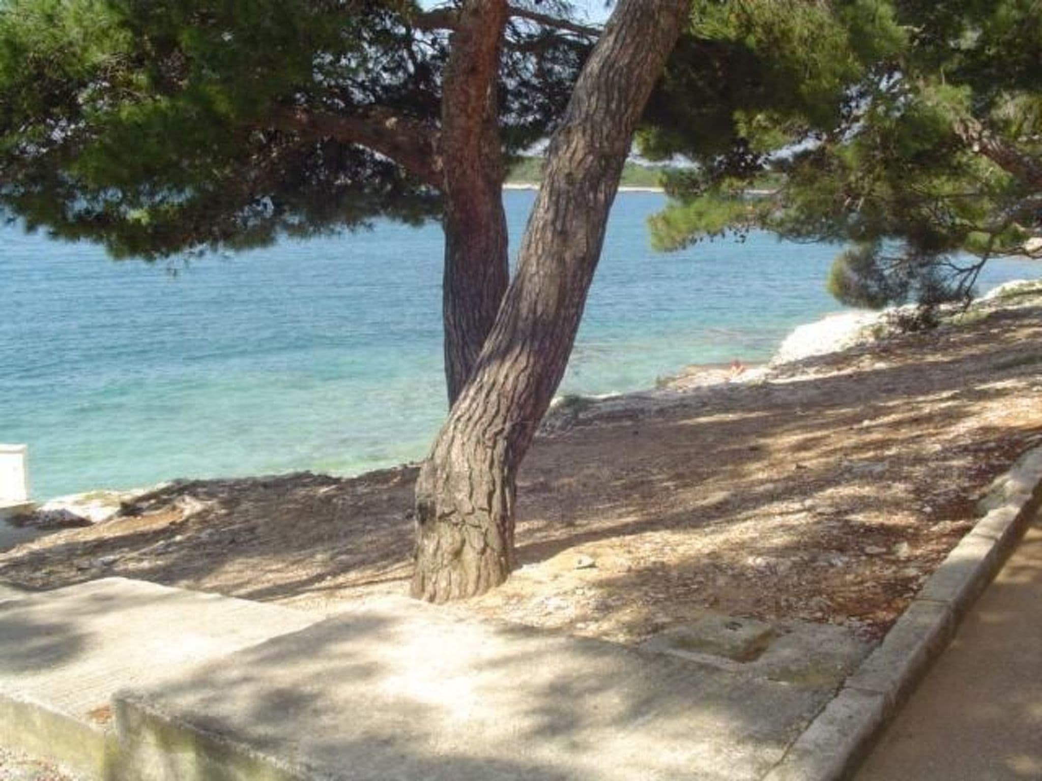 Gallery Image 37
