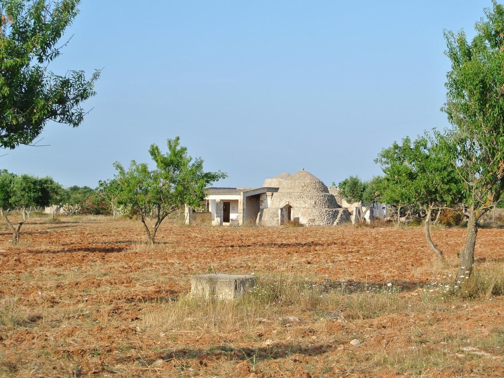 Gallery Image 21