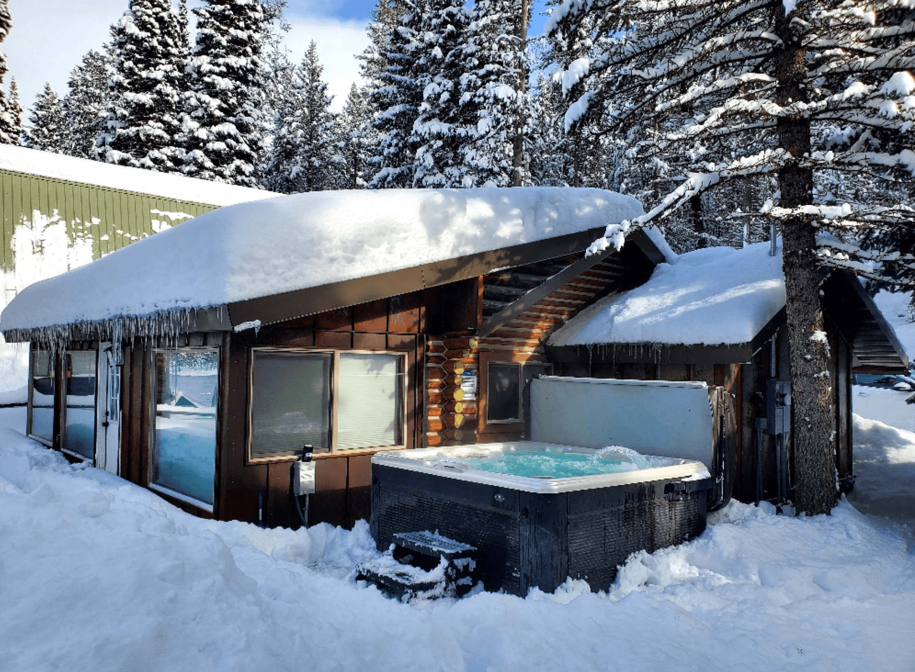 Snow 2/2026