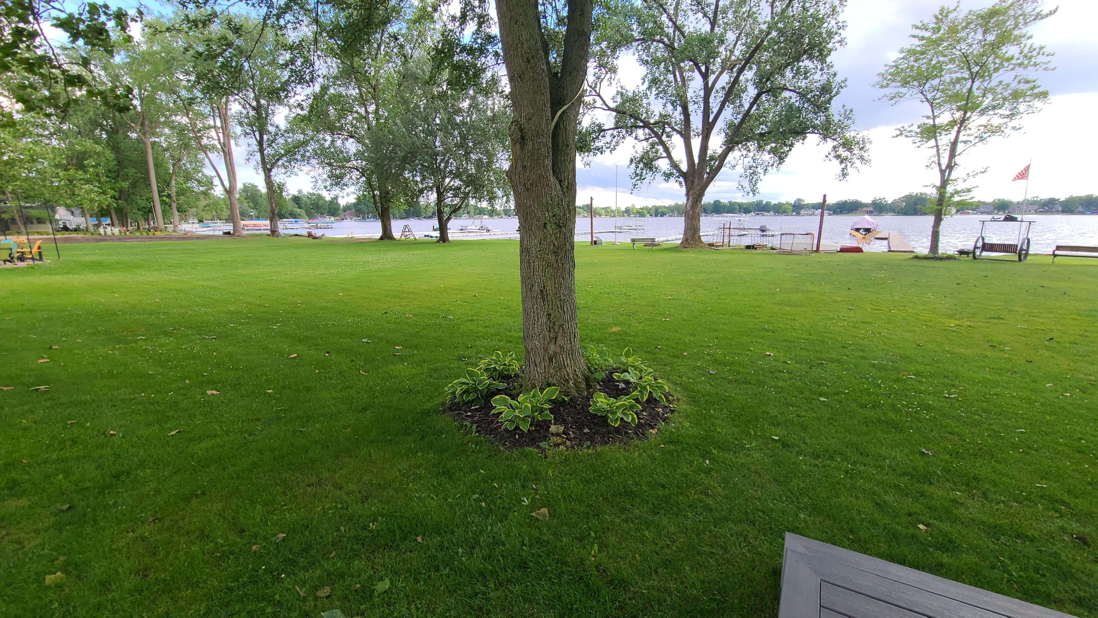GRASS