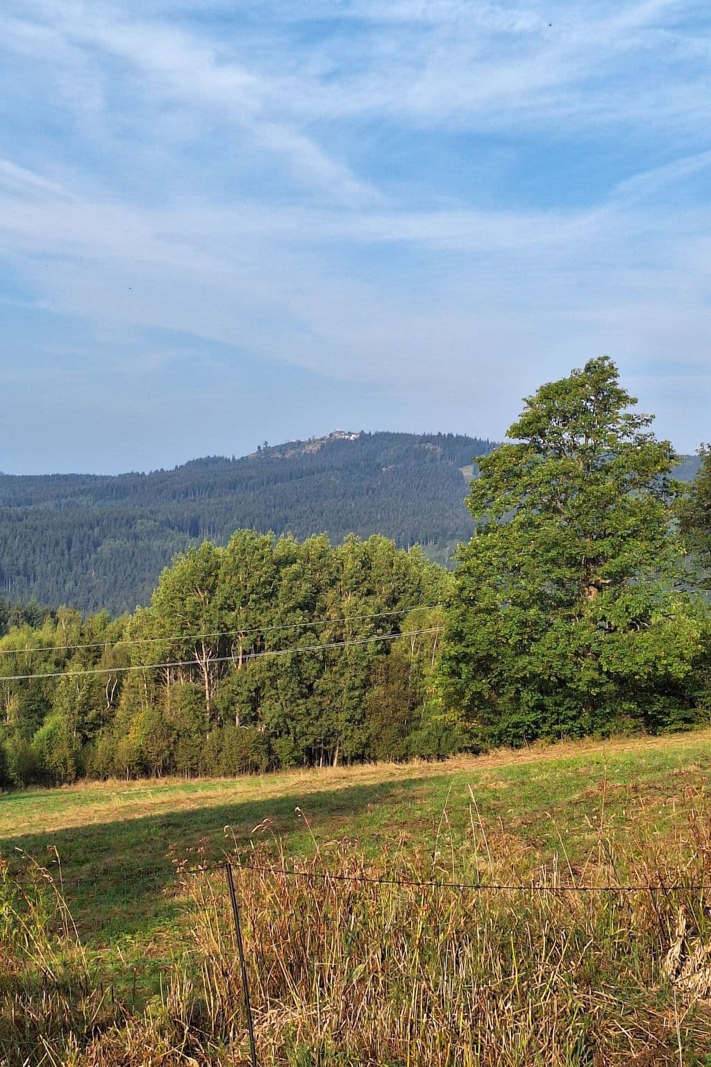 View
