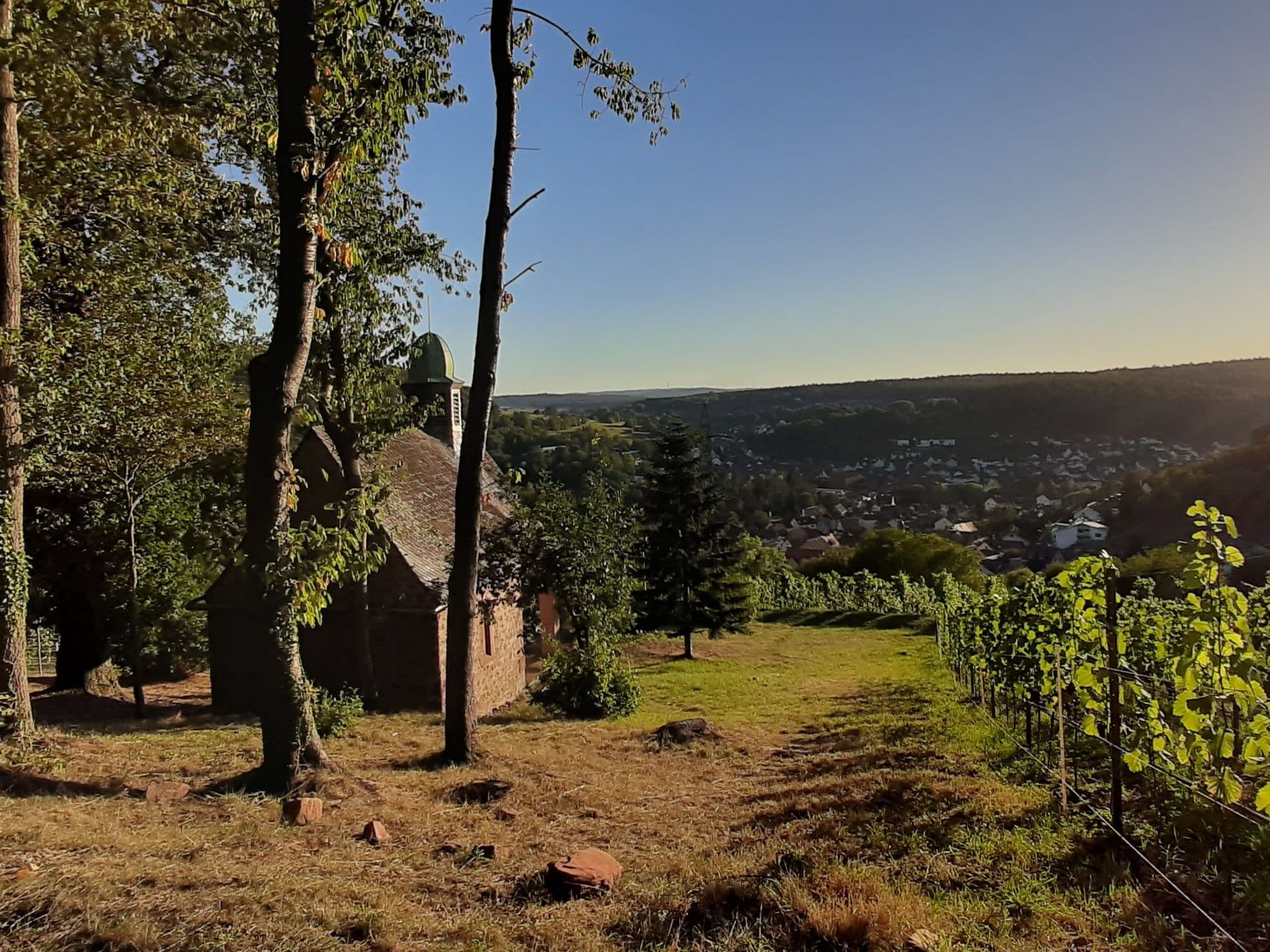 View