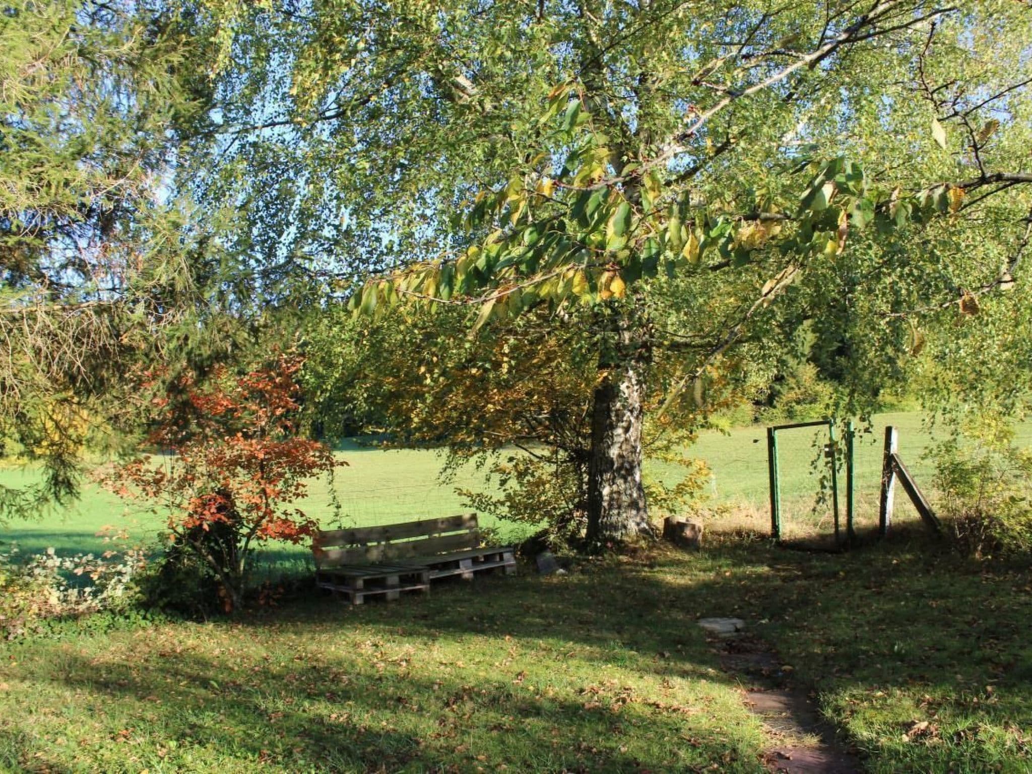 Gallery Image 15