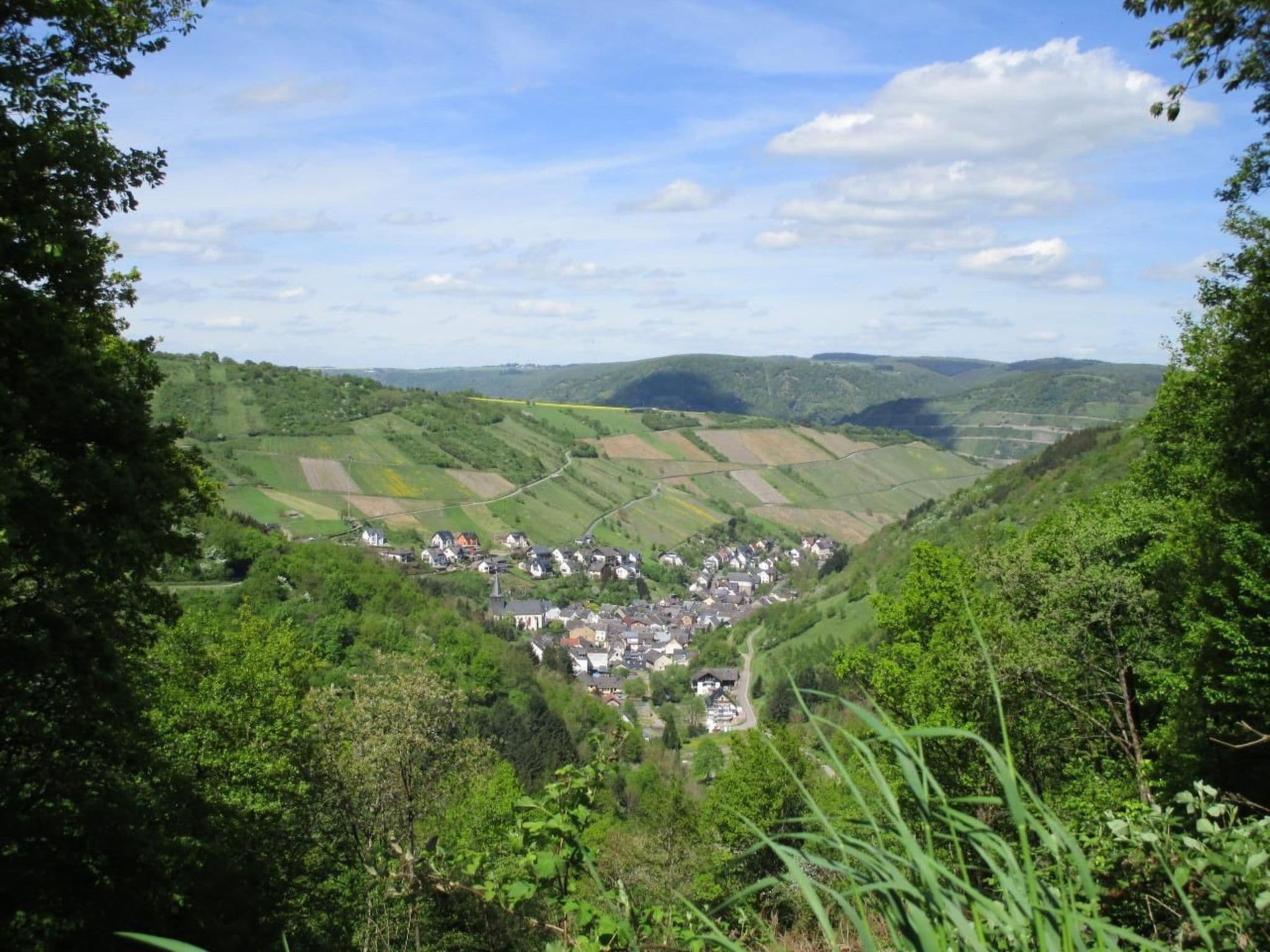 View