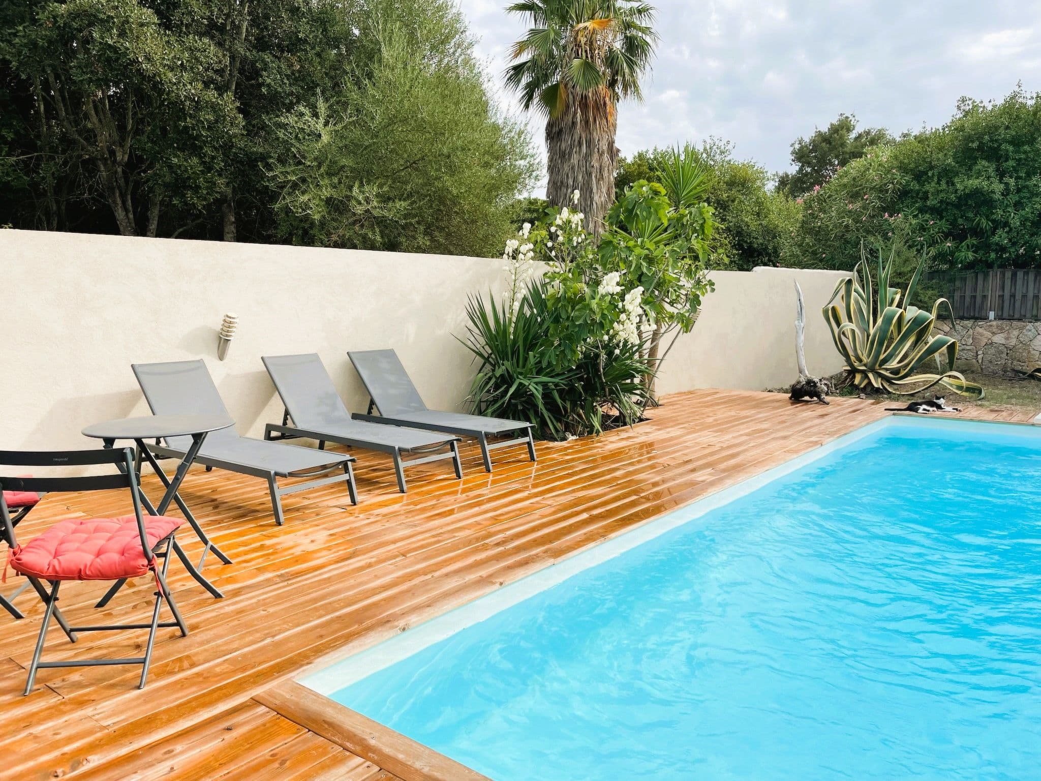 Pool Outdoor