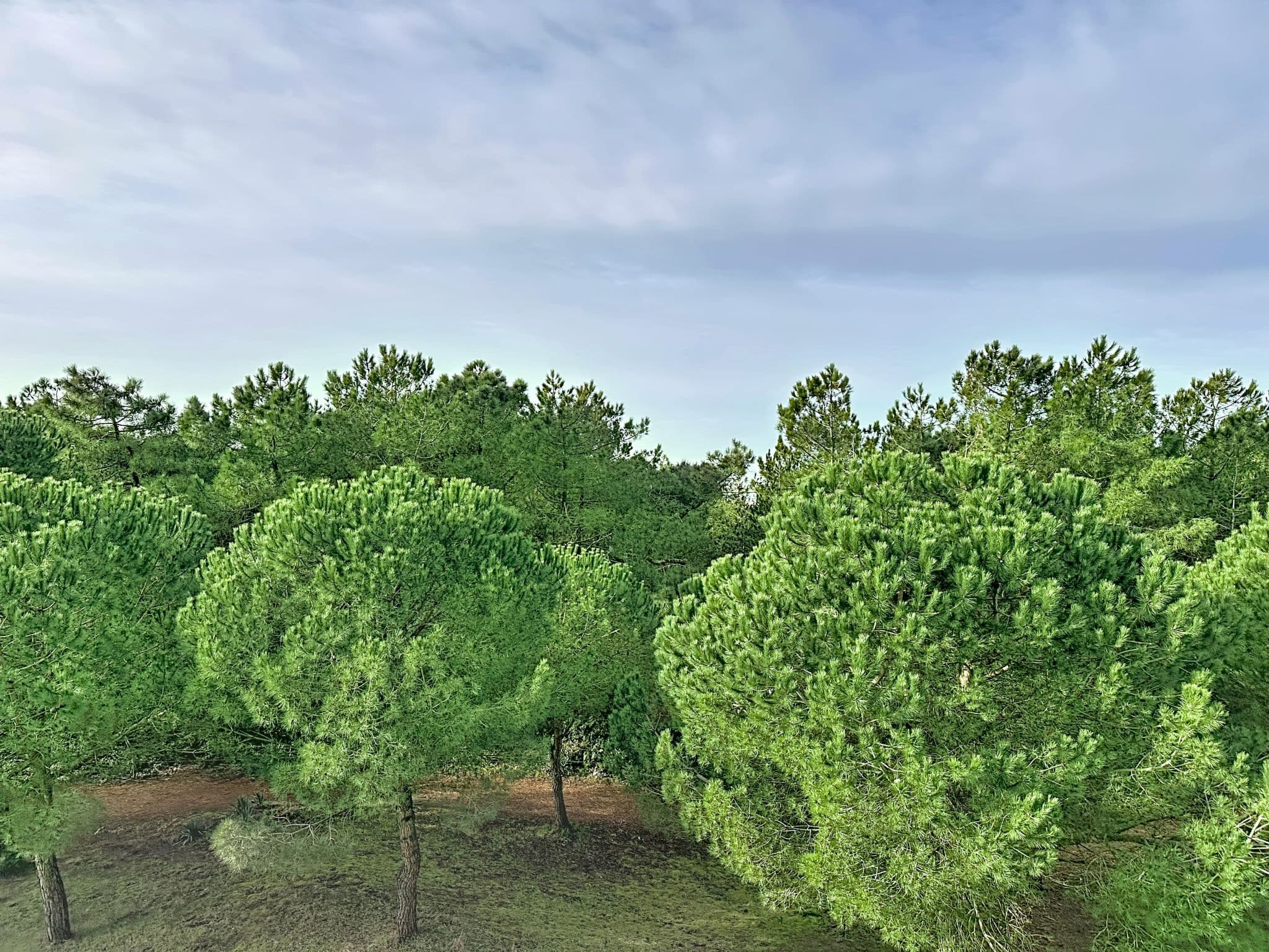 Aerial photography