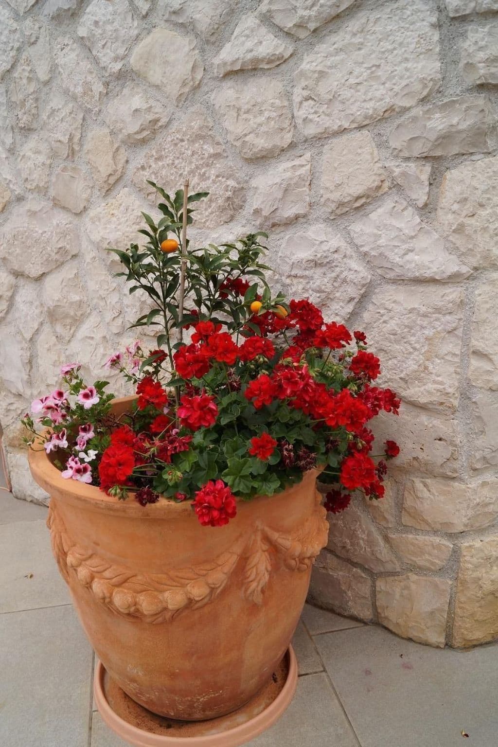 Gallery Image 36