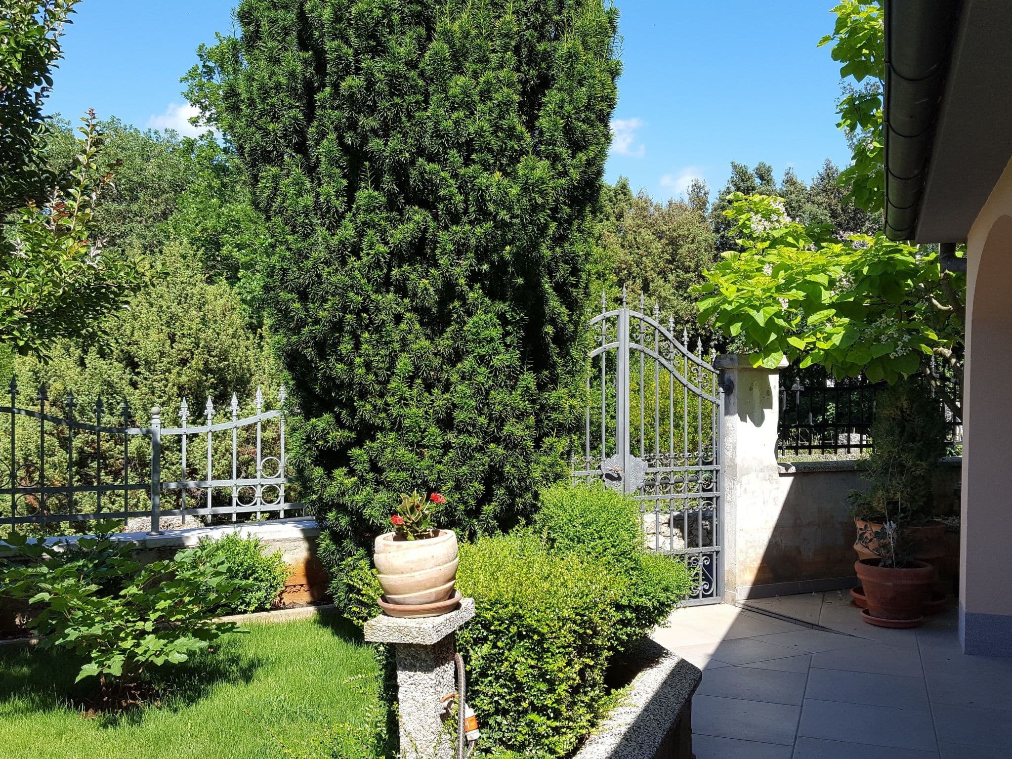 Gallery Image 41