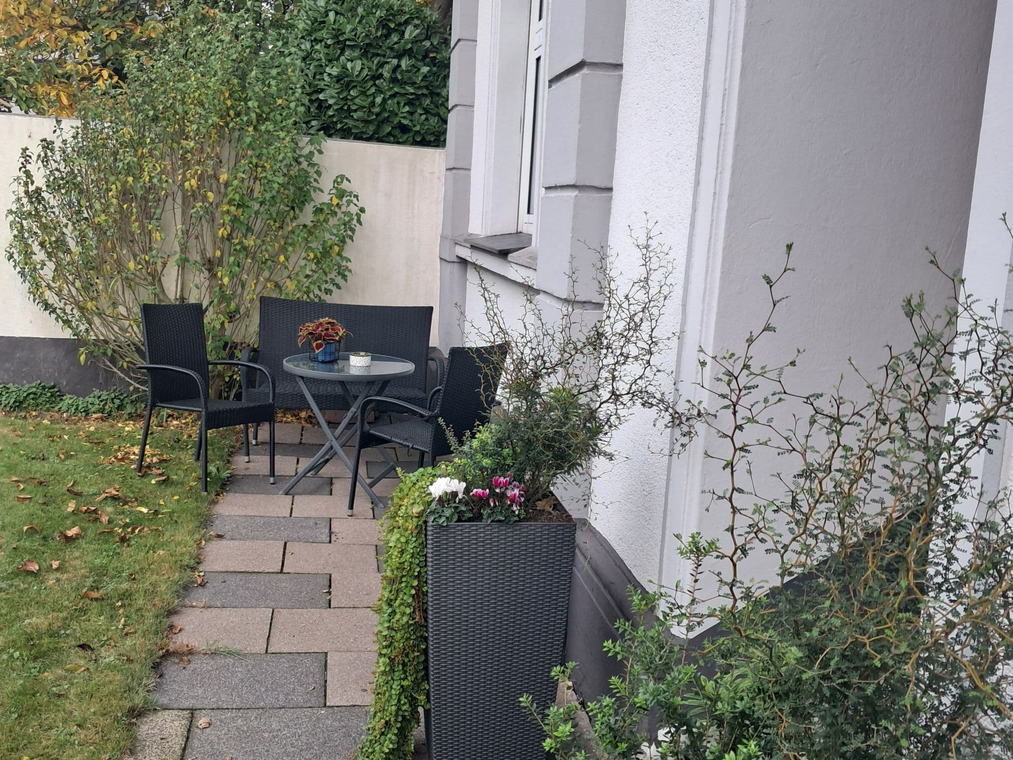 Gallery Image 16