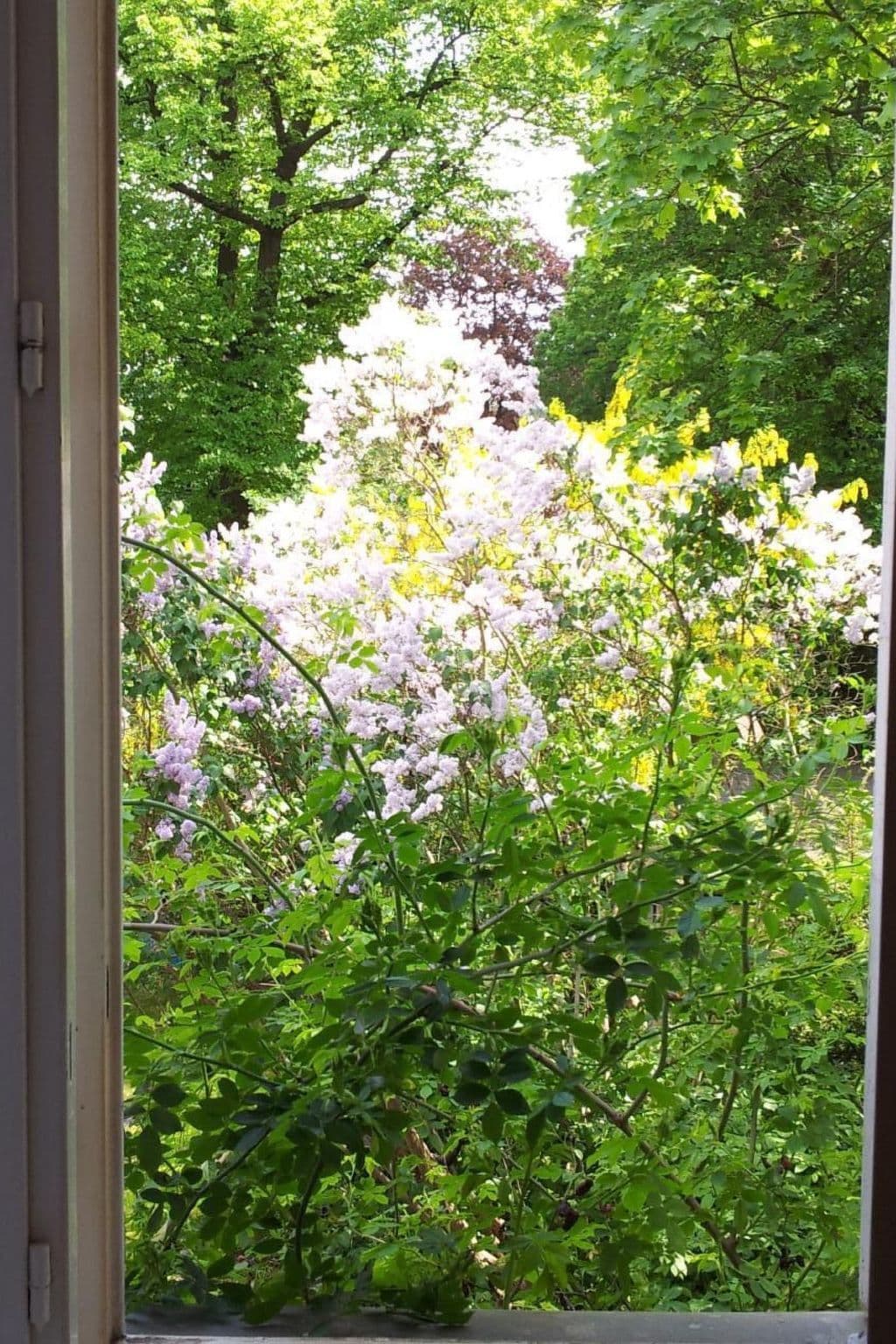Gallery Image 31