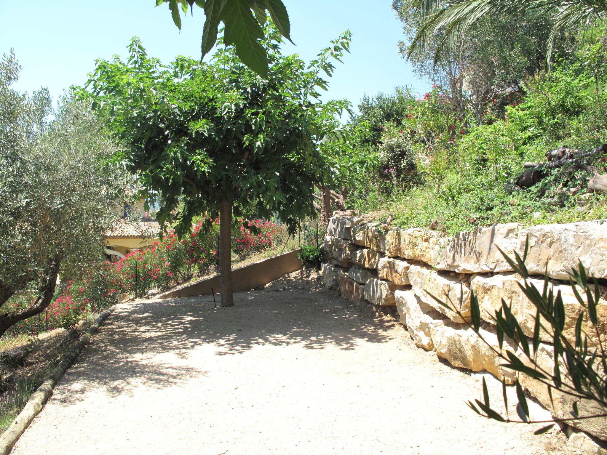 Outdoor