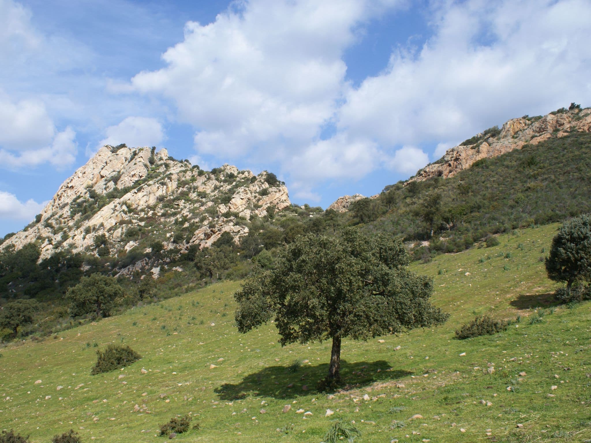 View