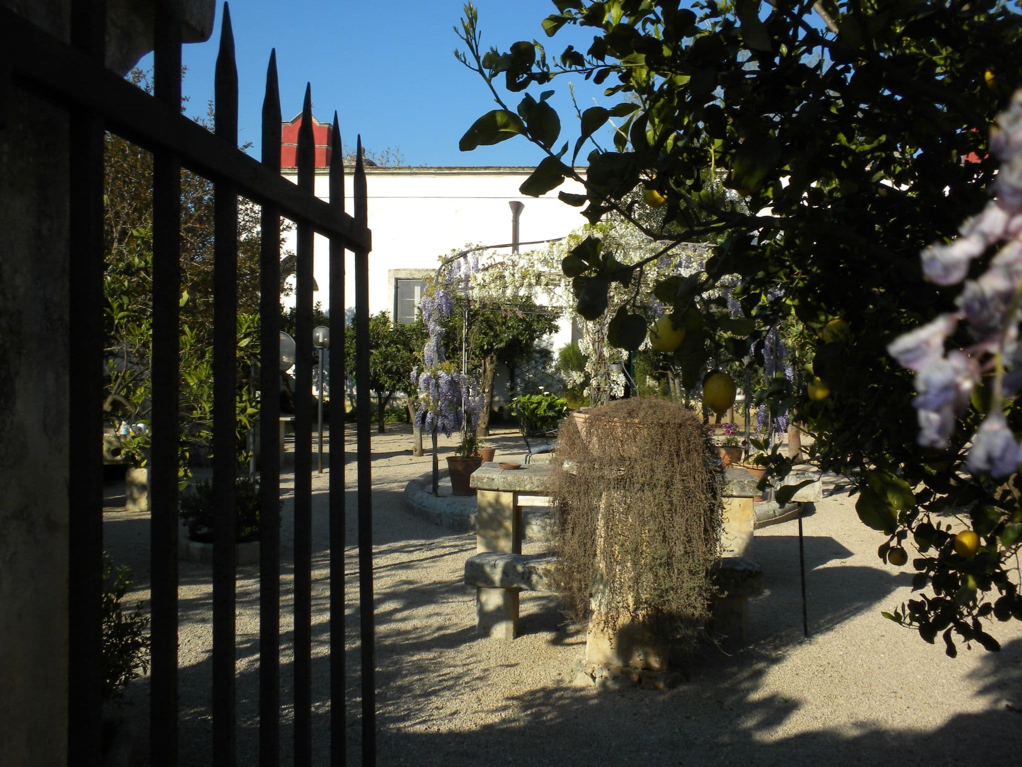 Gallery Image 29
