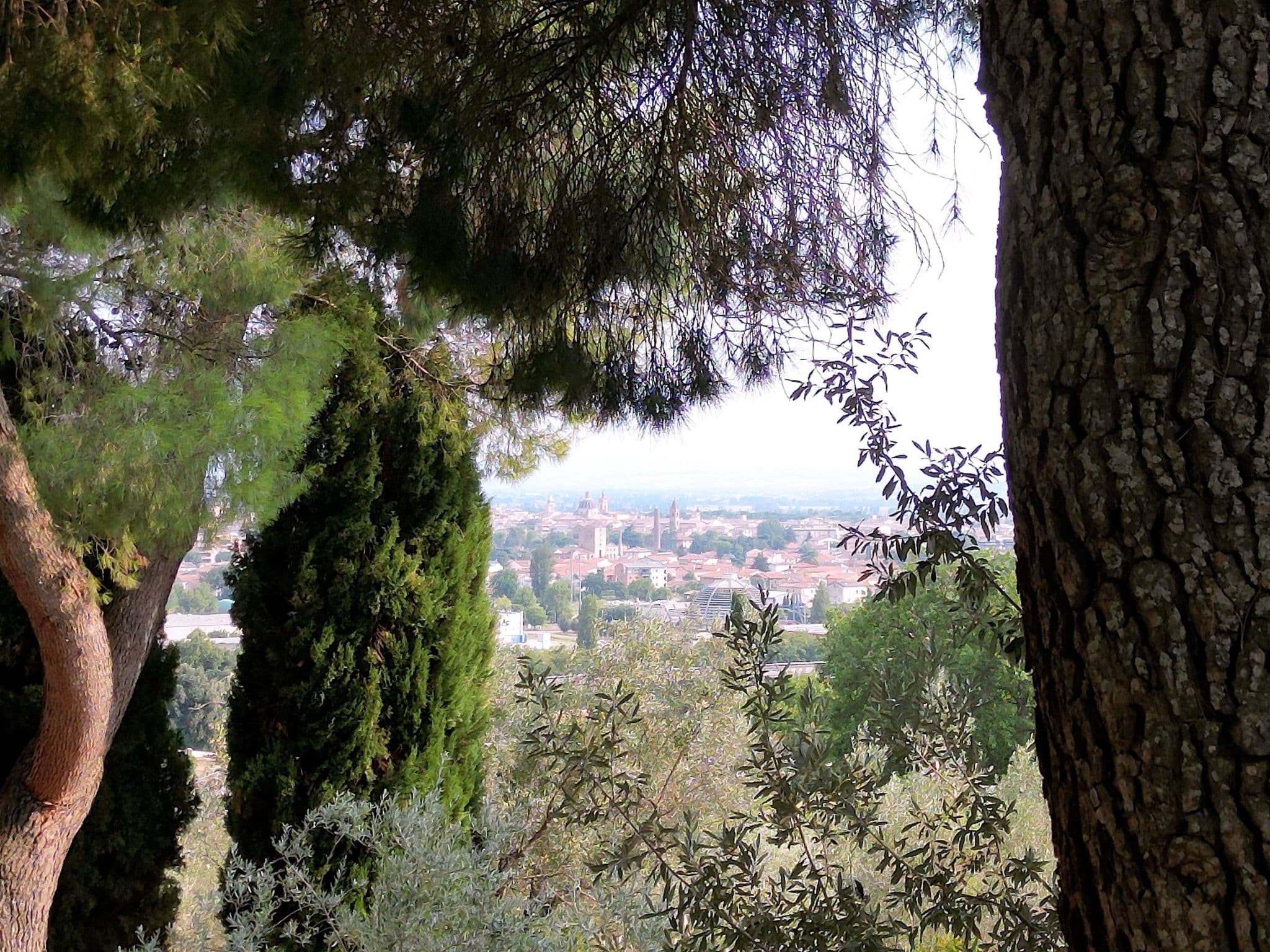 View