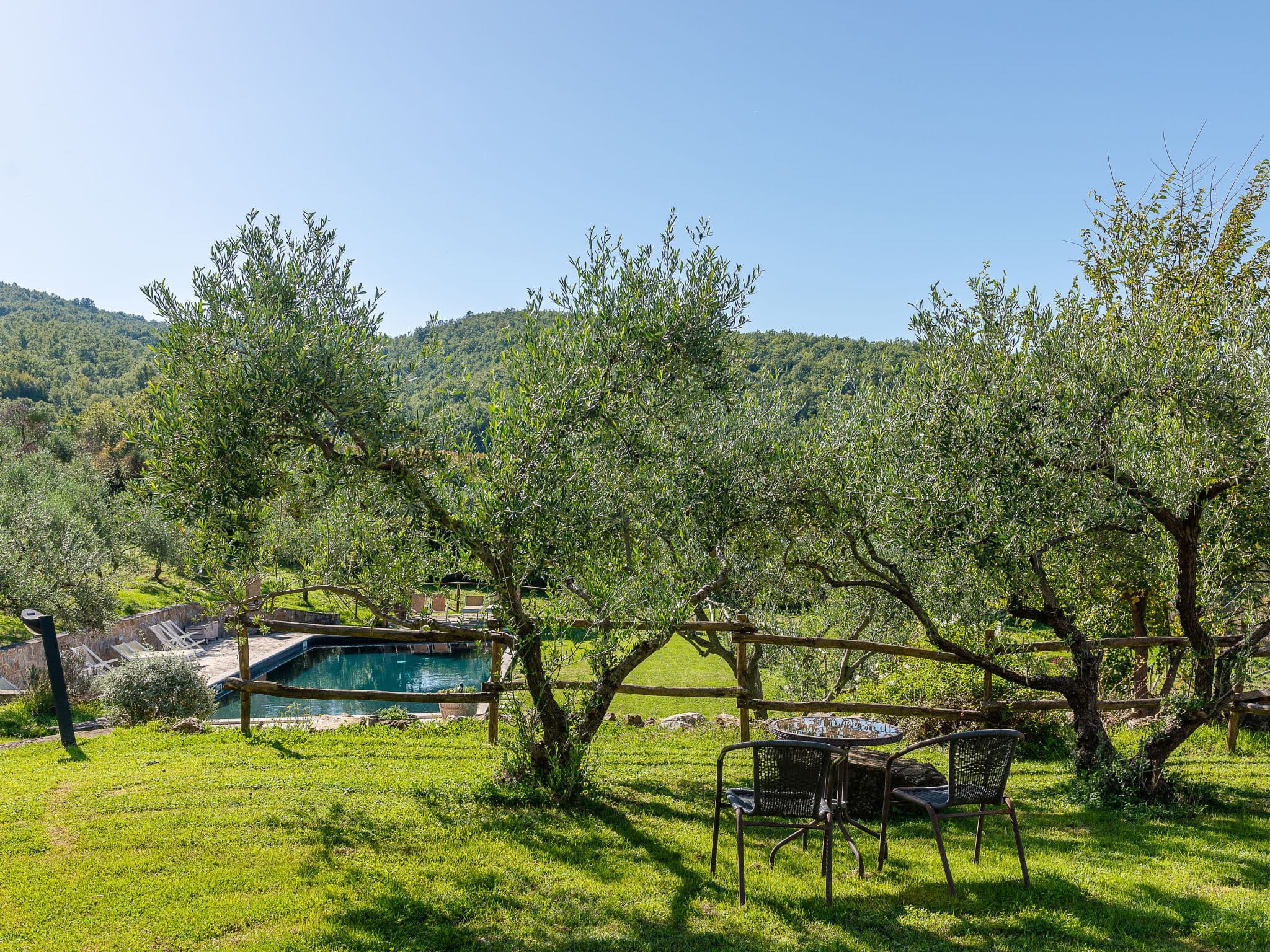 Pool Outdoor