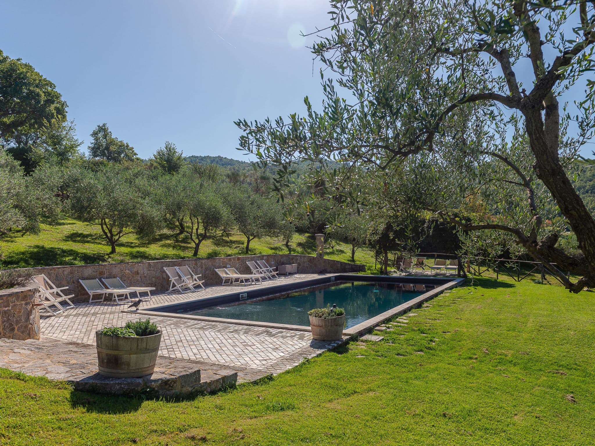 Pool Outdoor