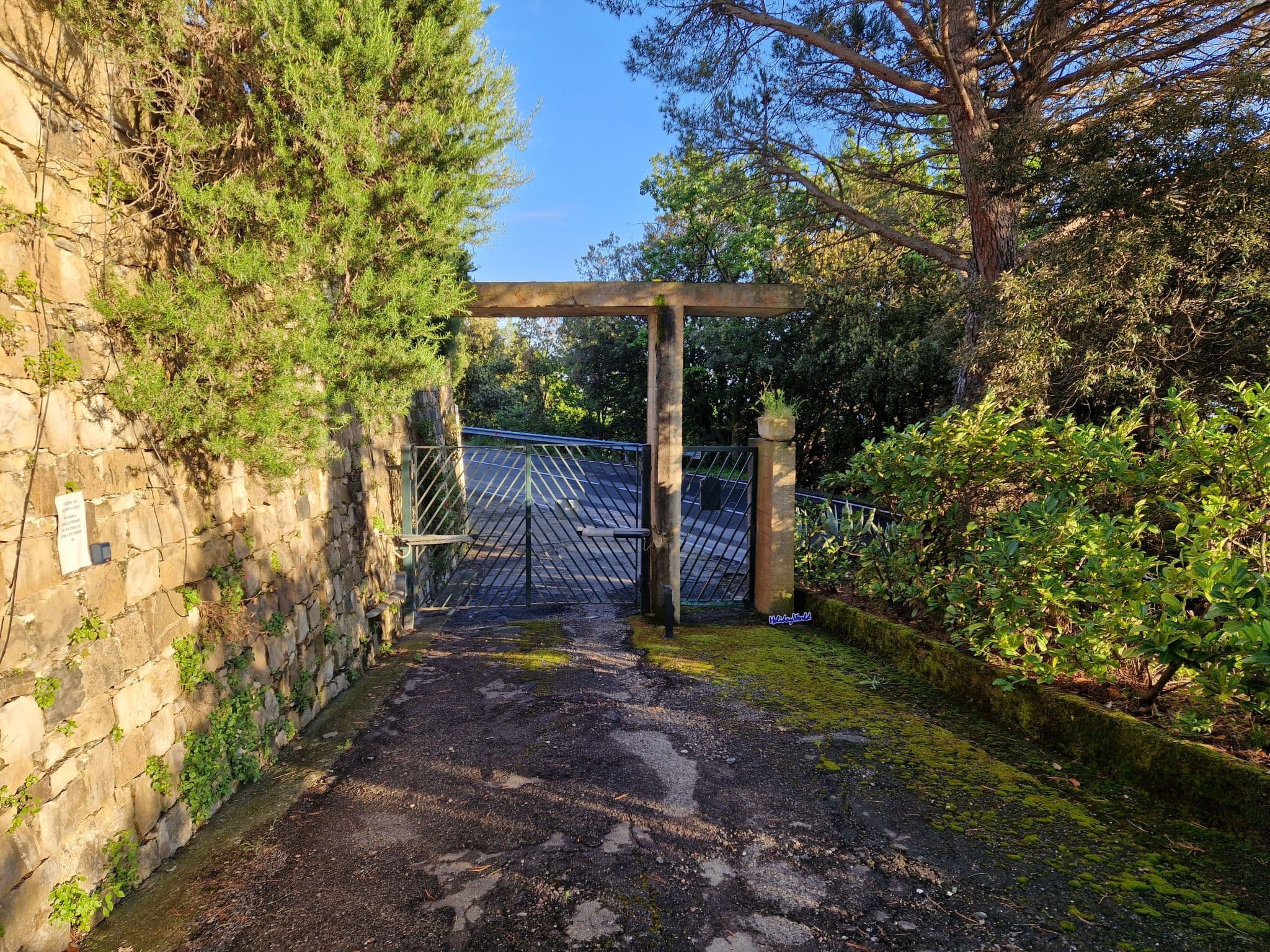 Gallery Image 25