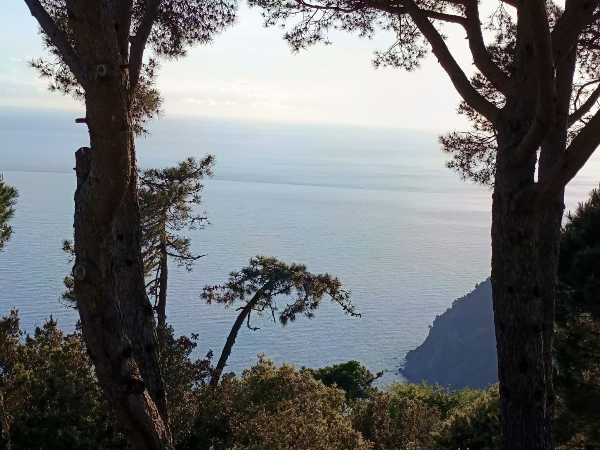 View