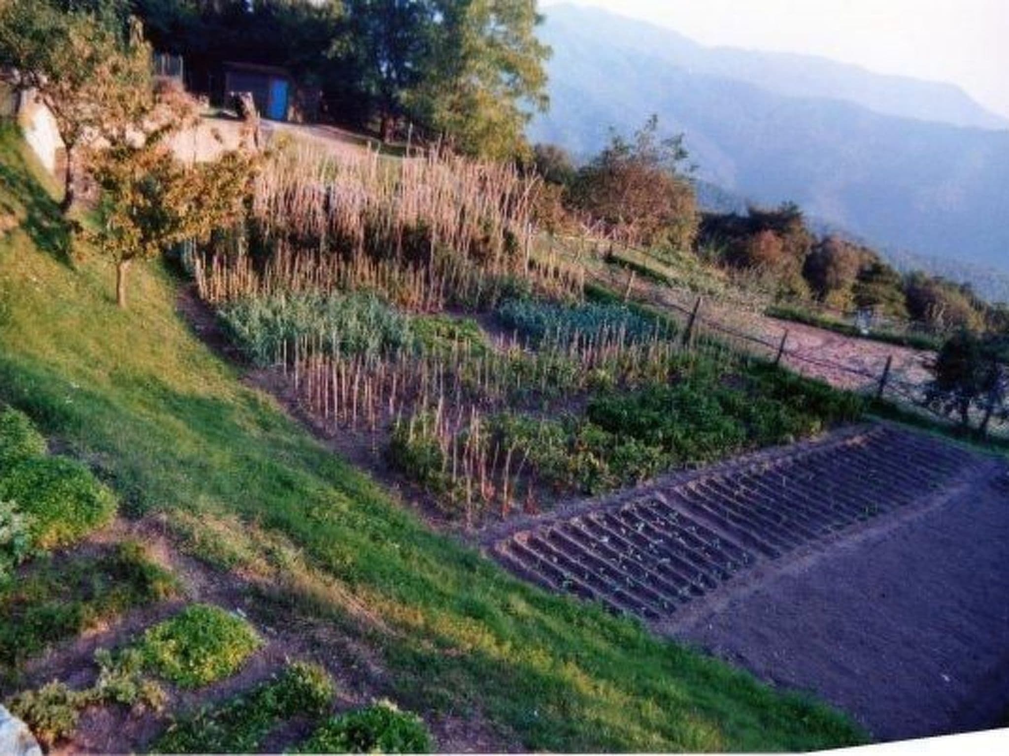 Gallery Image 18