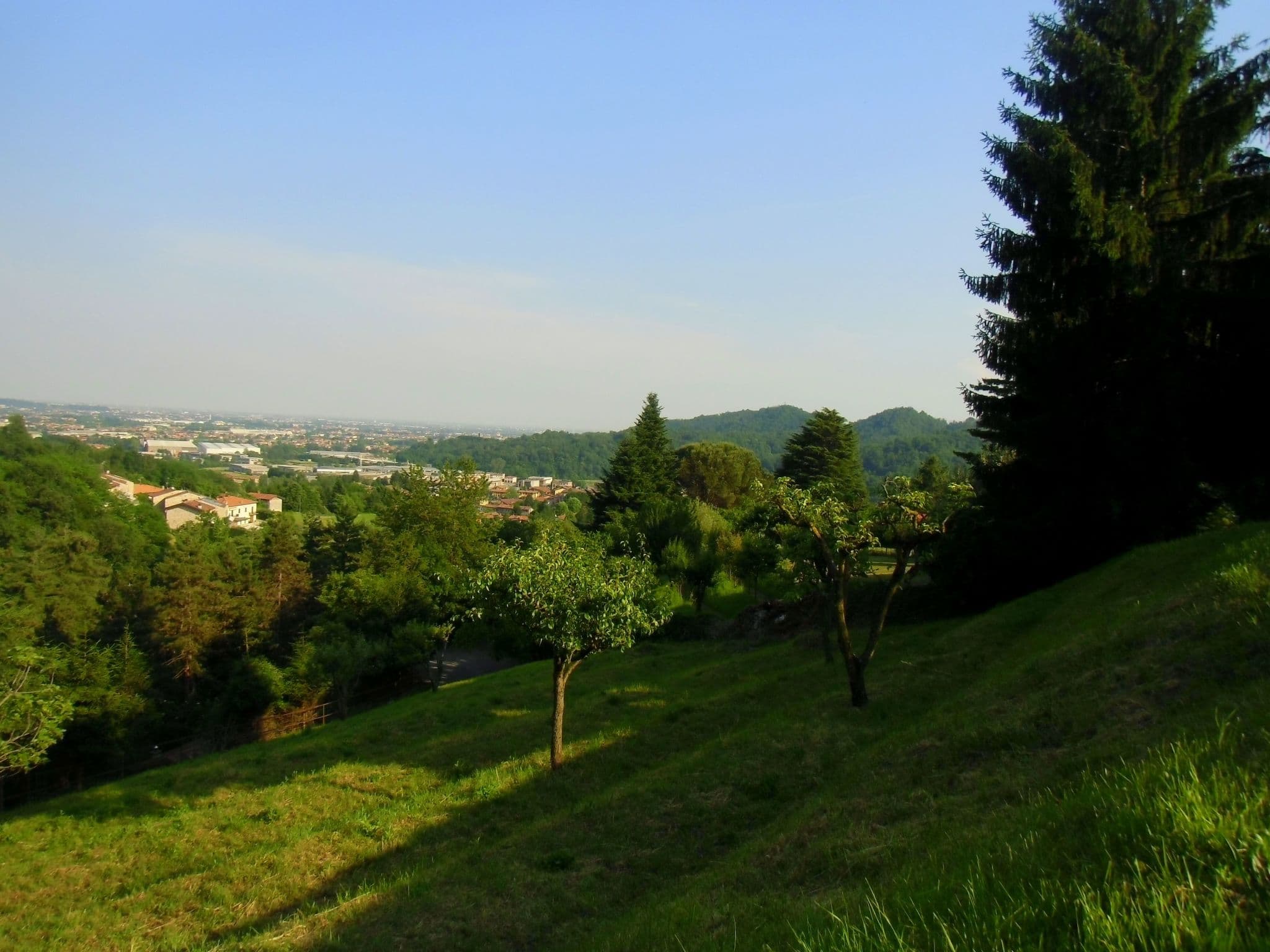 View