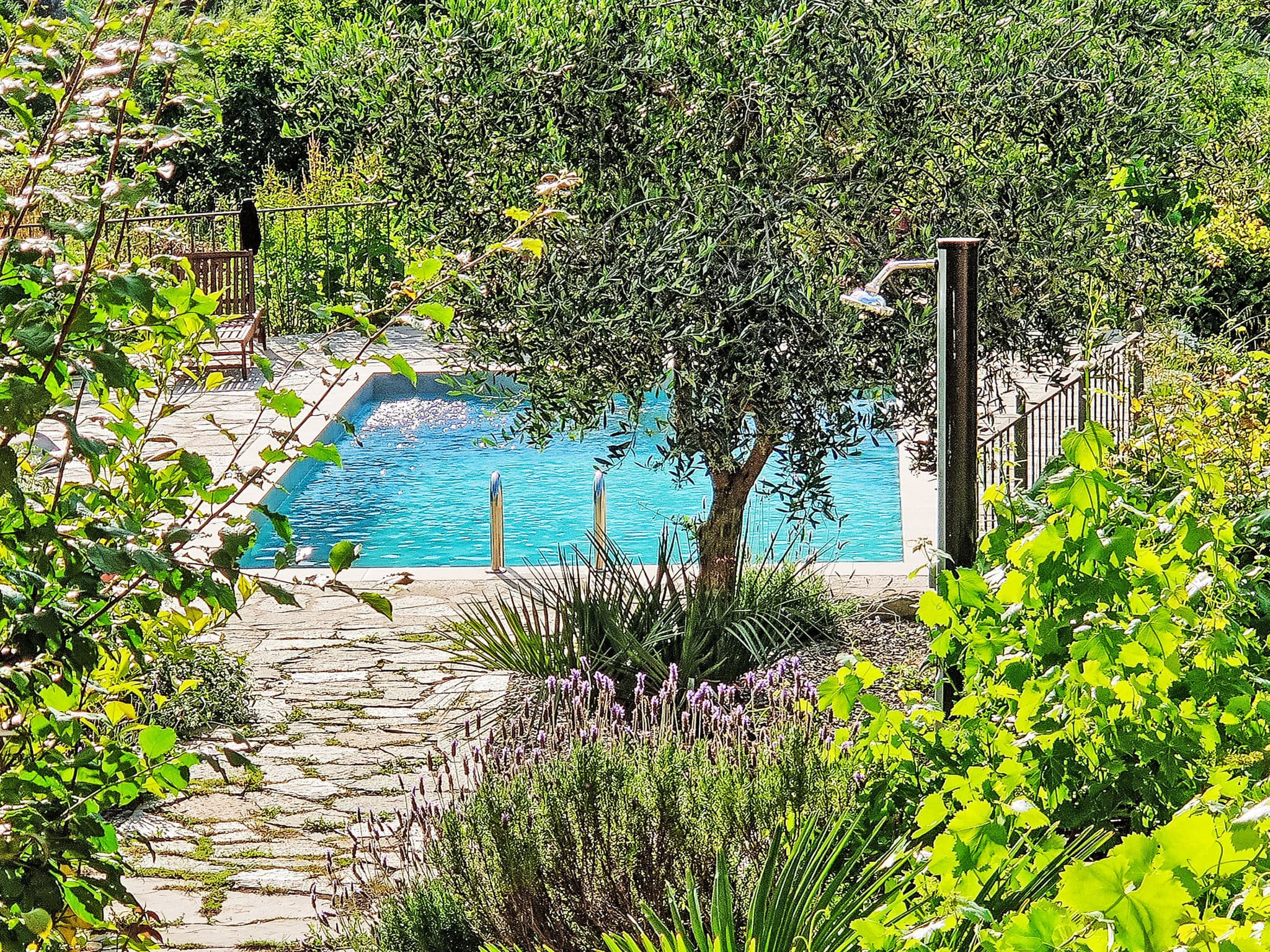 Pool Outdoor