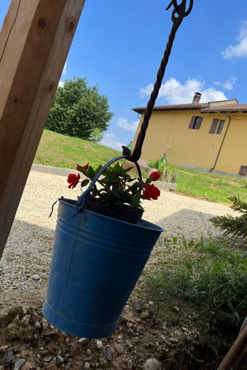 Gallery Image 37