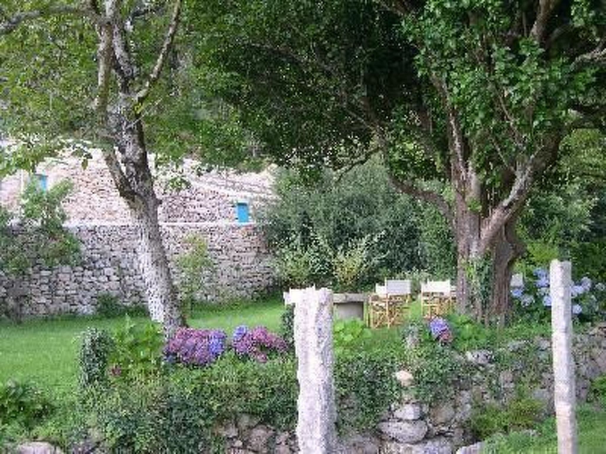 Gallery Image 16