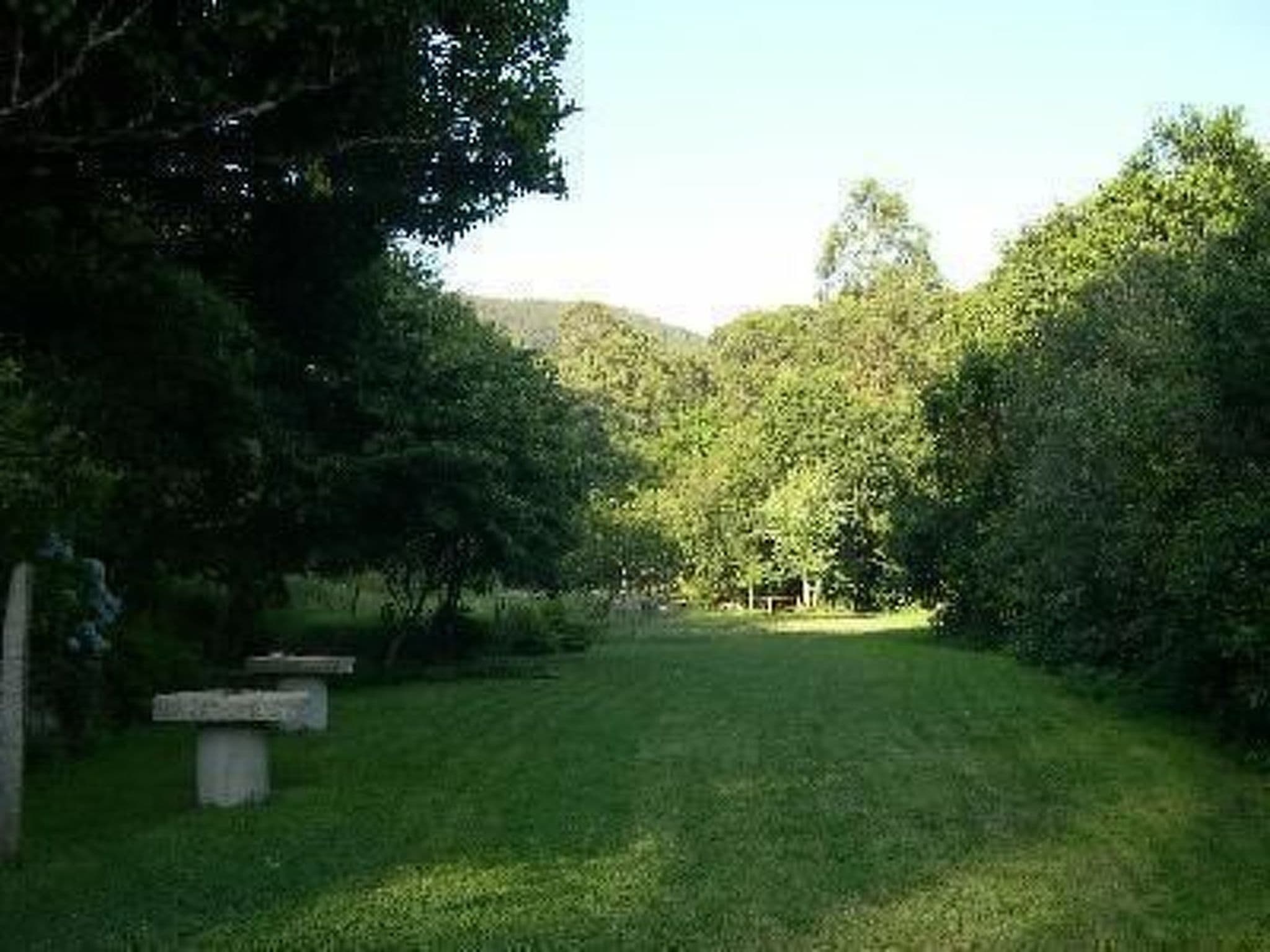 Gallery Image 17
