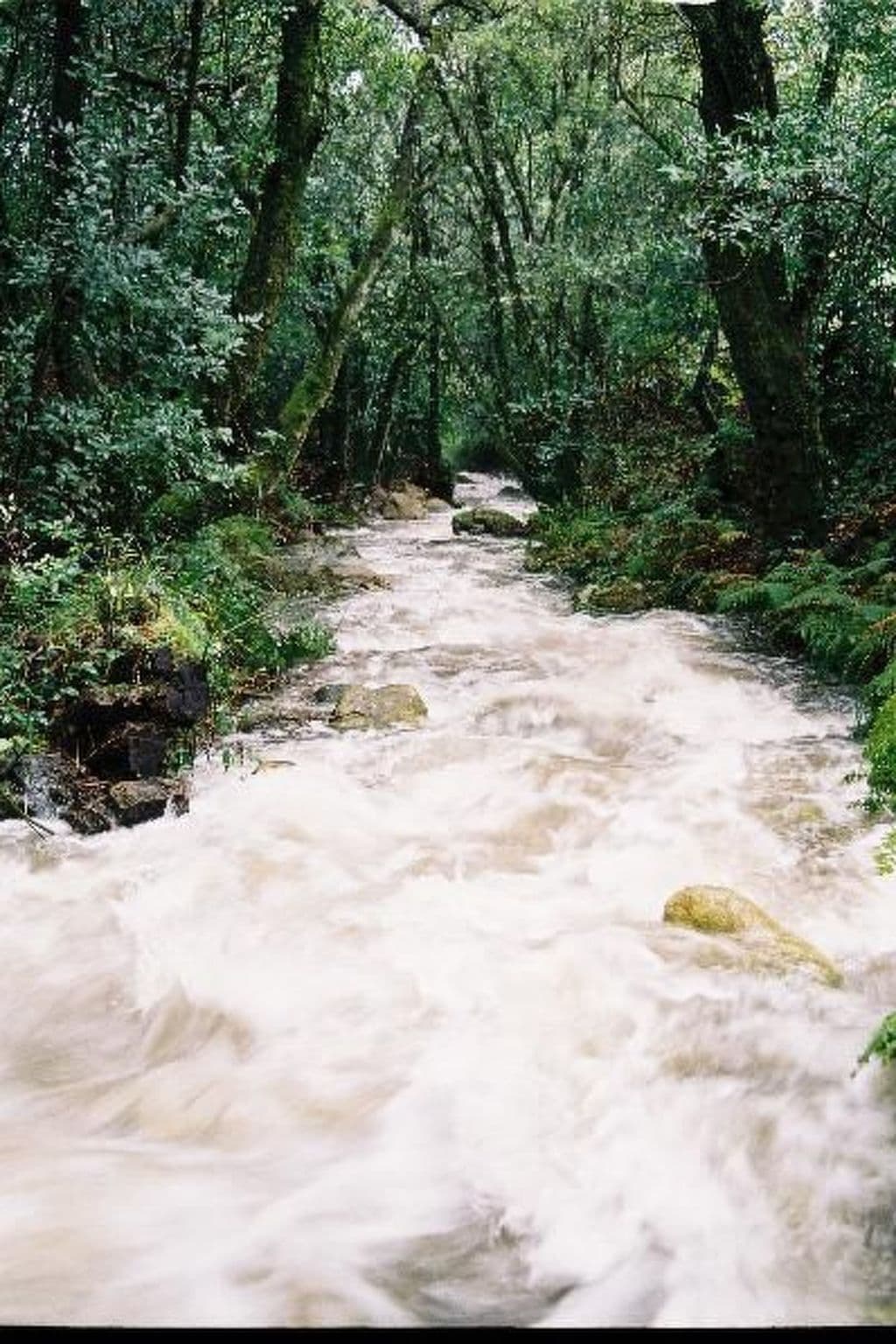 Gallery Image 20