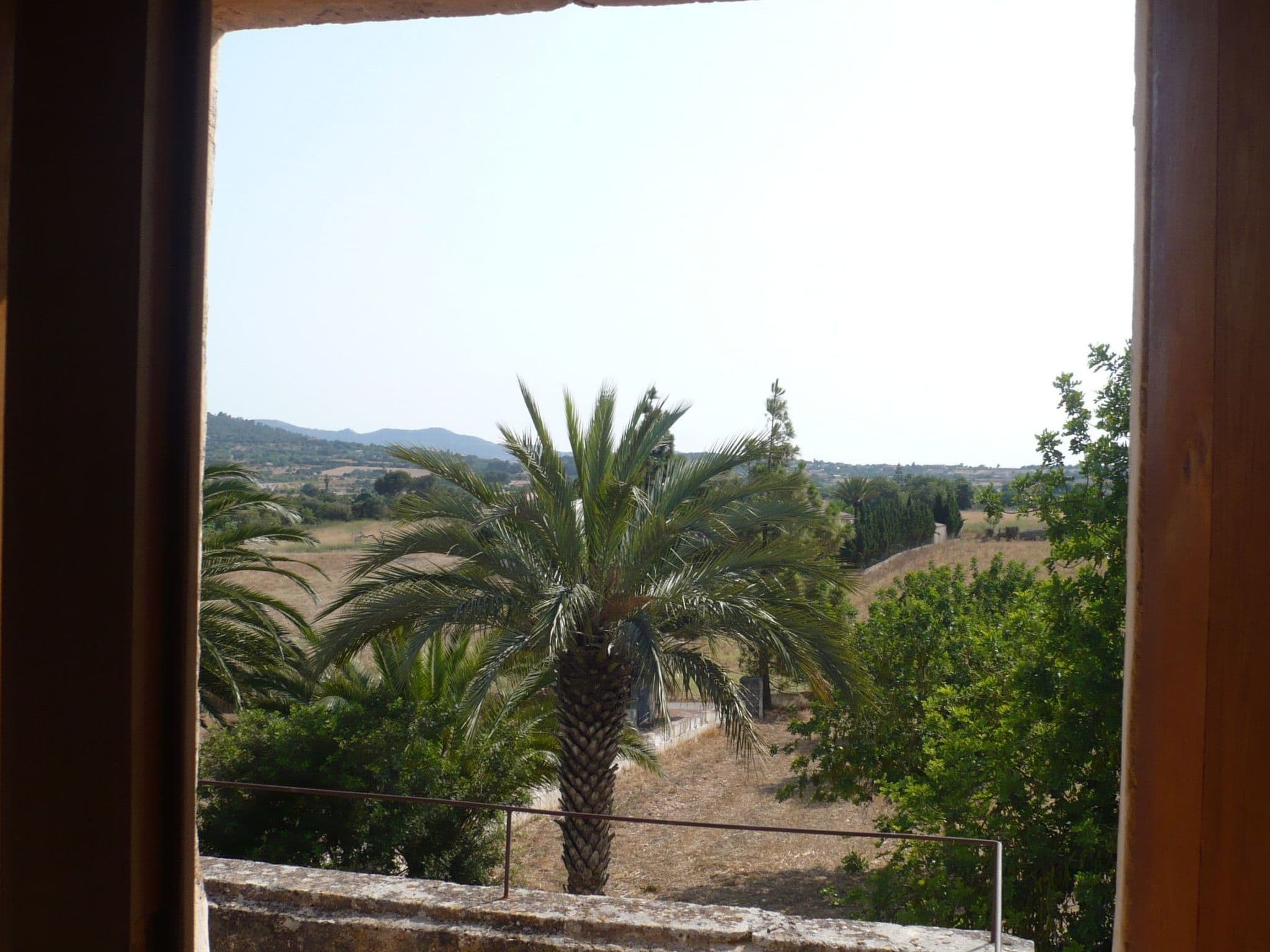 Gallery Image 16