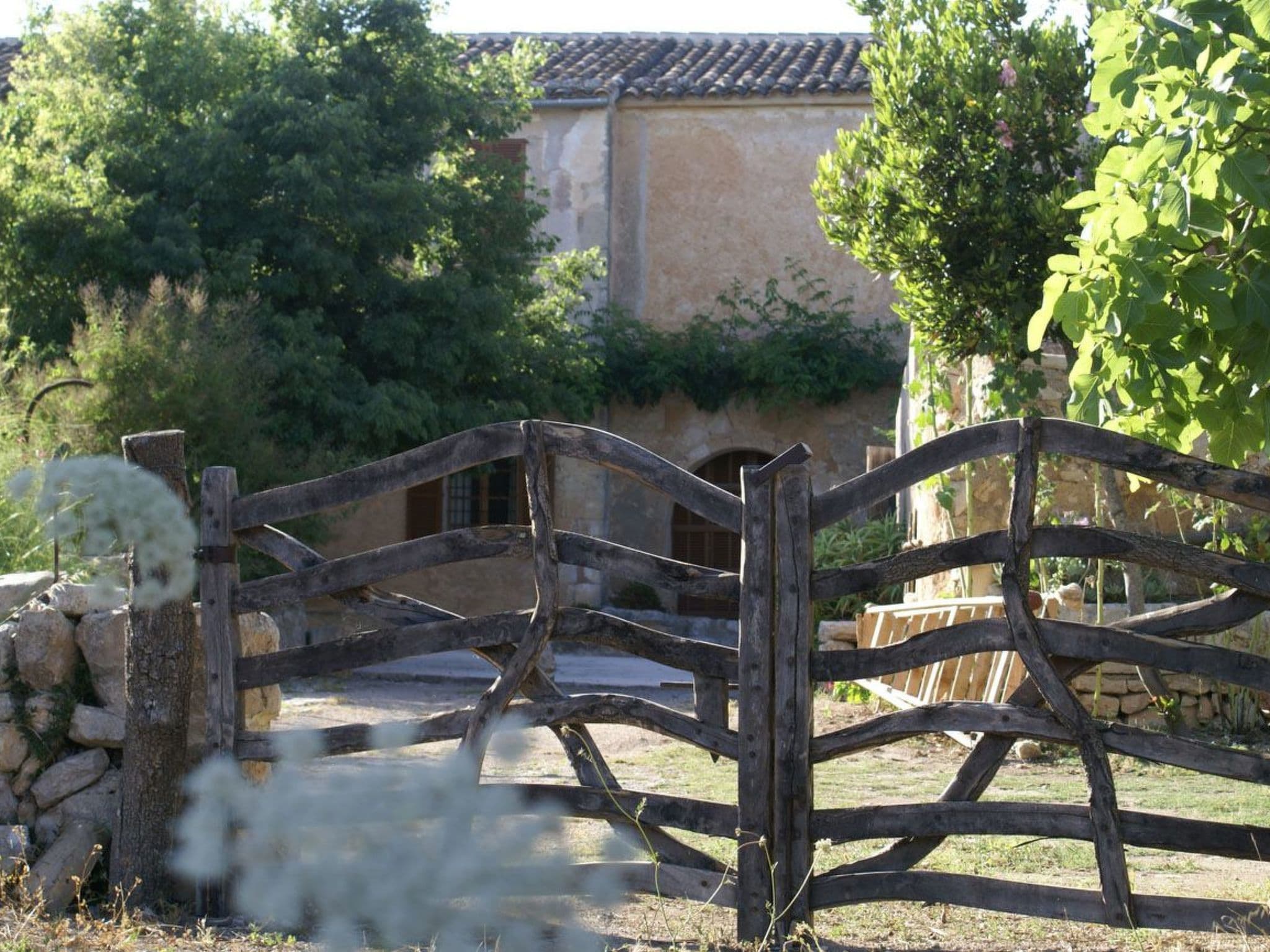 Gallery Image 22