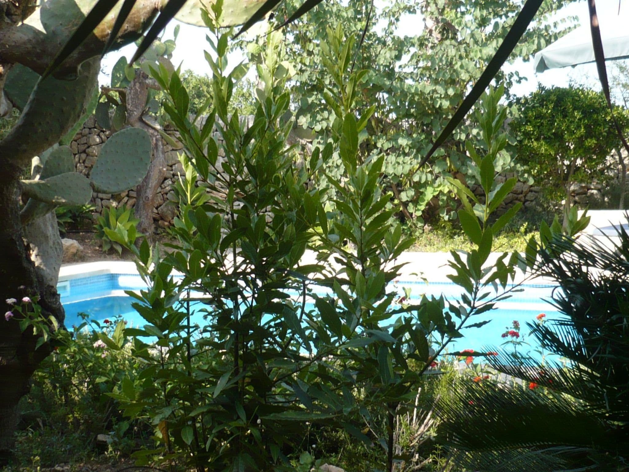 Gallery Image 38